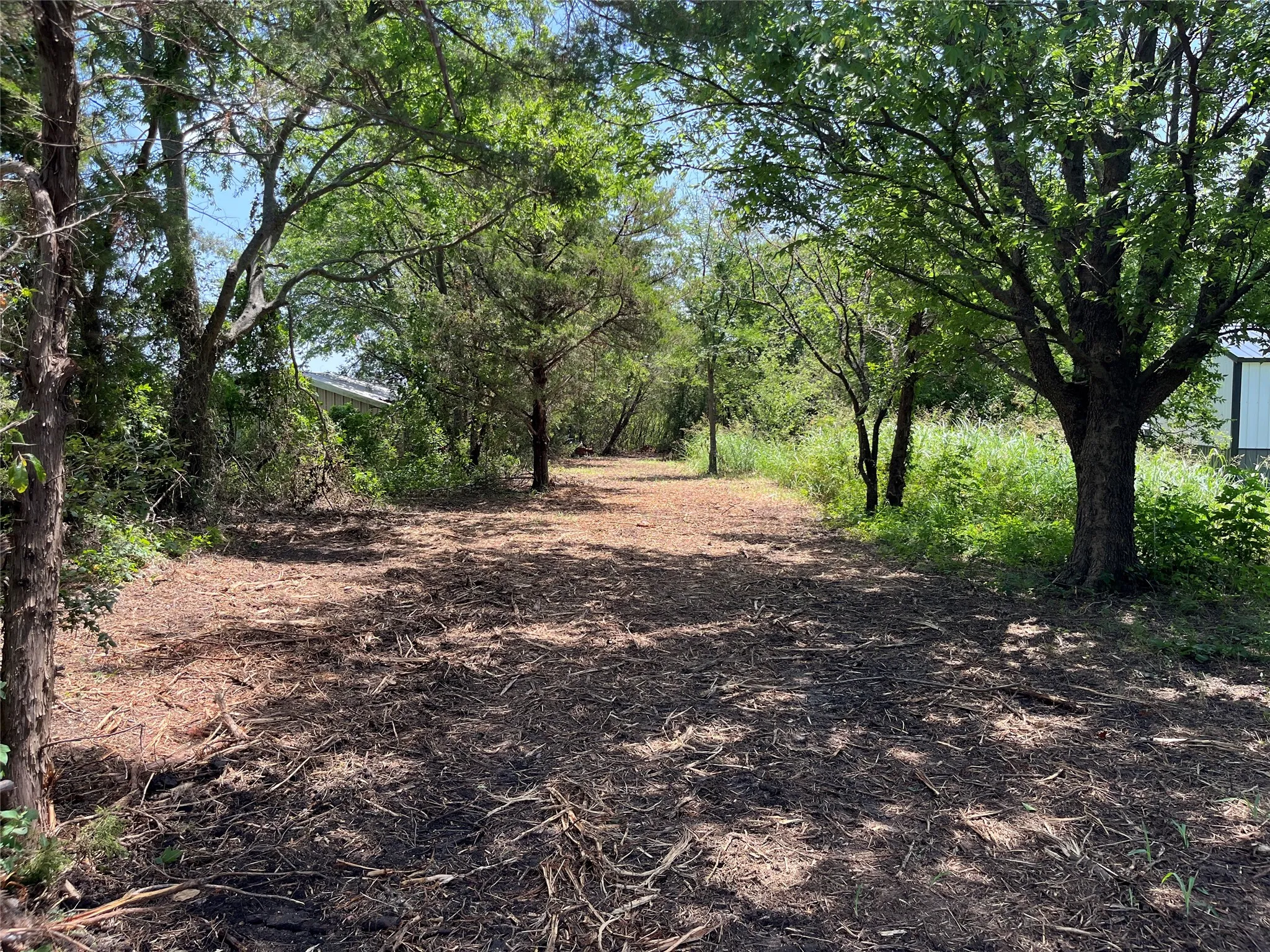 Unimproved Land For Sale in Grayson County , 910 Kentucky Town Road, Whitewright, Texas 75491, 0, 0, Garage spaces, 0 Sqft, built in 0, mls#21336486, Real Estate Agent in Whitewright, Homes For Sale in Grayson county, Homes For Sale in Whitewright, Realtor in Whitewright Texas, Real Estate Brokerage Independent Realty Texas, Luminita Cordes Realtor