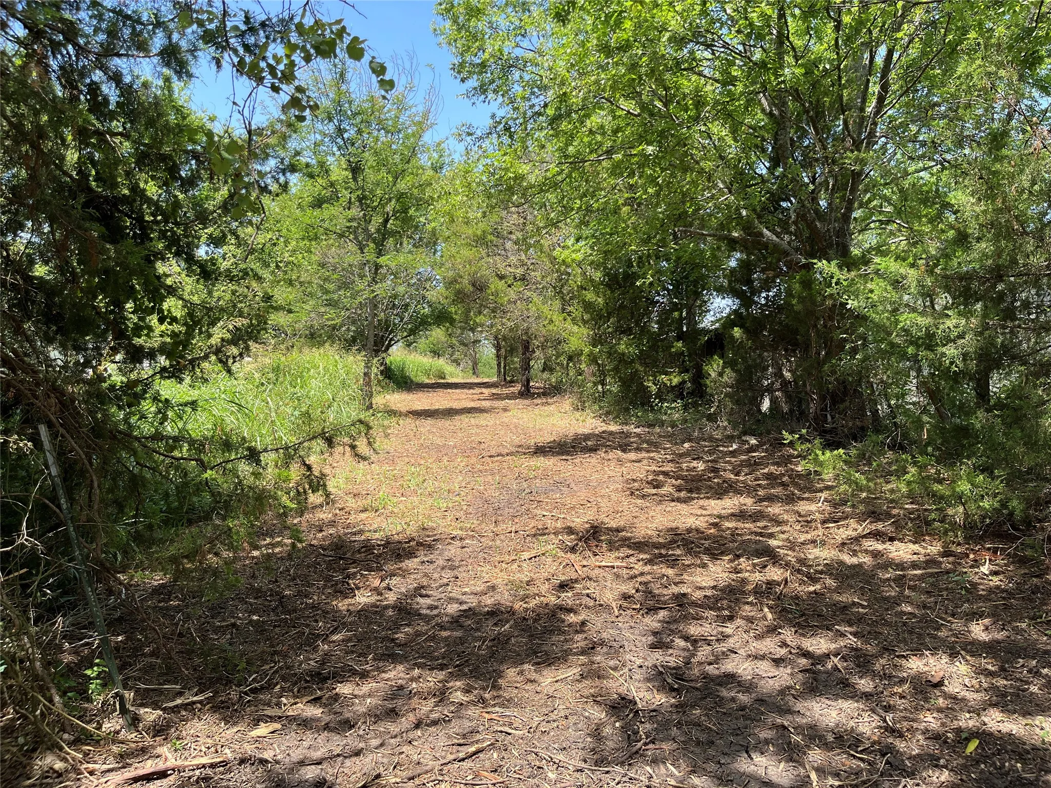 Unimproved Land For Sale in Grayson County , 910 Kentucky Town Road, Whitewright, Texas 75491, 0, 0, Garage spaces, 0 Sqft, built in 0, mls#21336486, Real Estate Agent in Whitewright, Homes For Sale in Grayson county, Homes For Sale in Whitewright, Realtor in Whitewright Texas, Real Estate Brokerage Independent Realty Texas, Luminita Cordes Realtor