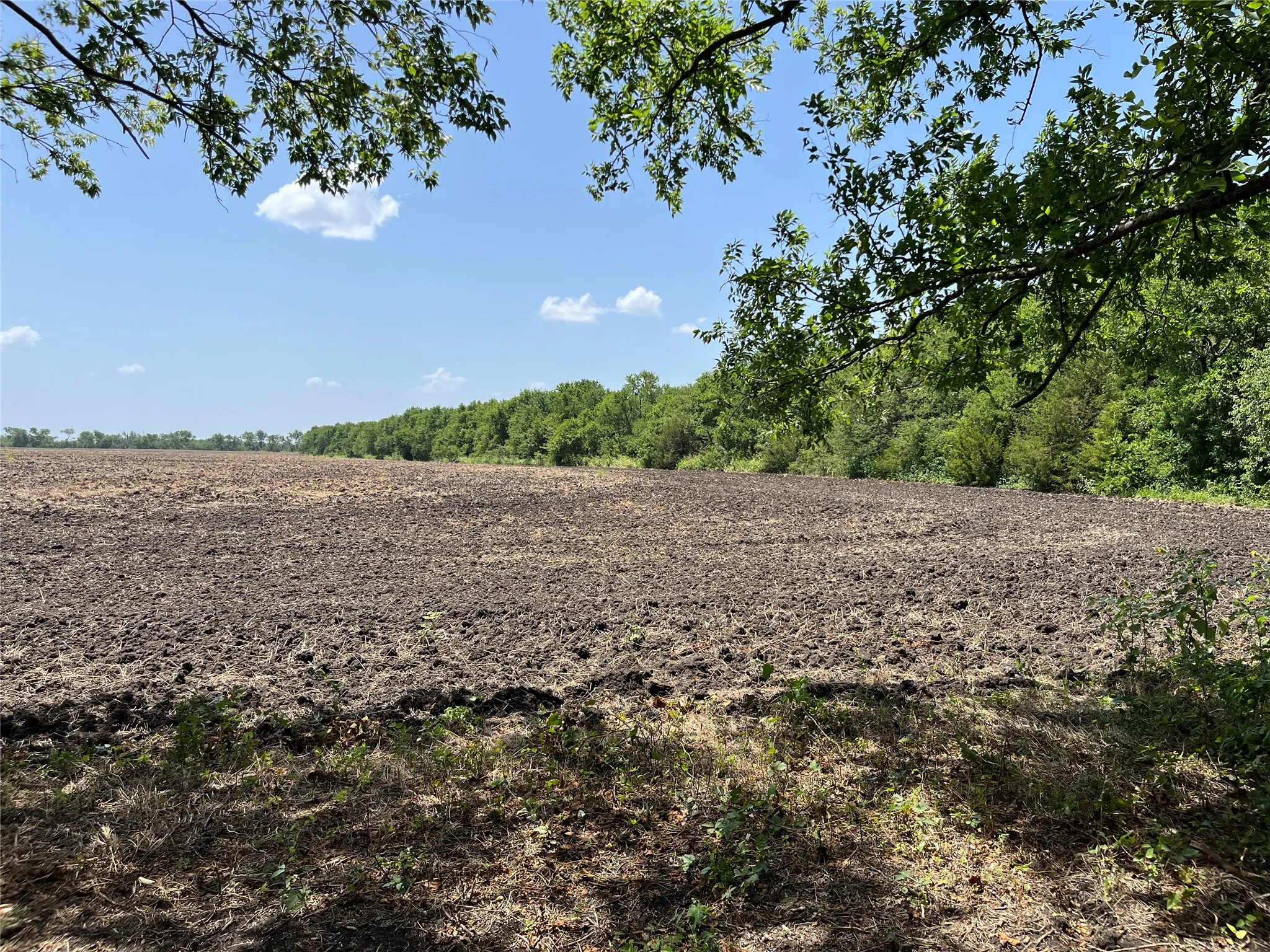 Unimproved Land For Sale in Grayson County , 910 Kentucky Town Road, Whitewright, Texas 75491, 0, 0, Garage spaces, 0 Sqft, built in 0, mls#21336486, Real Estate Agent in Whitewright, Homes For Sale in Grayson county, Homes For Sale in Whitewright, Realtor in Whitewright Texas, Real Estate Brokerage Independent Realty Texas, Luminita Cordes Realtor