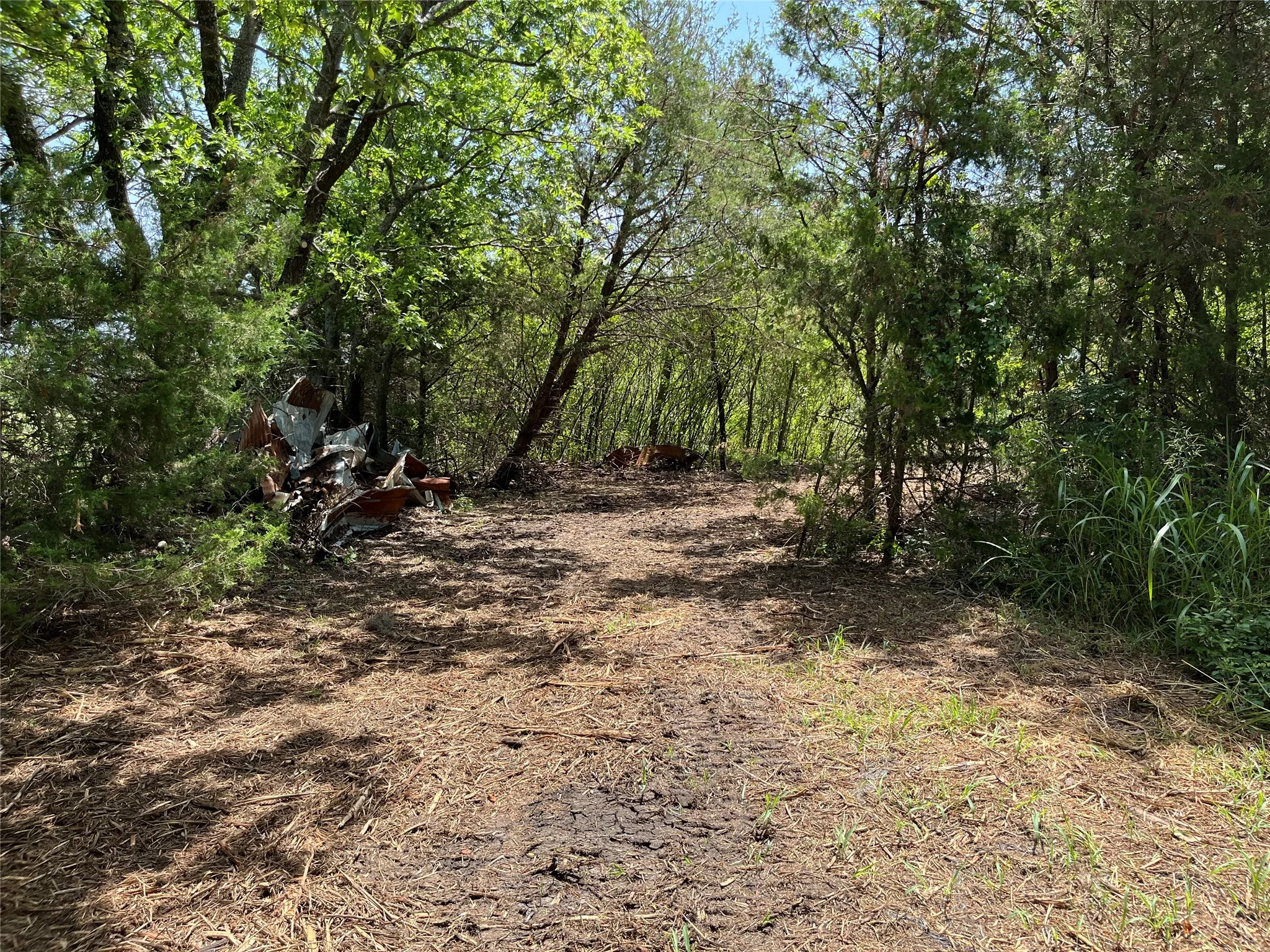 Unimproved Land For Sale in Grayson County , 910 Kentucky Town Road, Whitewright, Texas 75491, 0, 0, Garage spaces, 0 Sqft, built in 0, mls#21336486, Real Estate Agent in Whitewright, Homes For Sale in Grayson county, Homes For Sale in Whitewright, Realtor in Whitewright Texas, Real Estate Brokerage Independent Realty Texas, Luminita Cordes Realtor