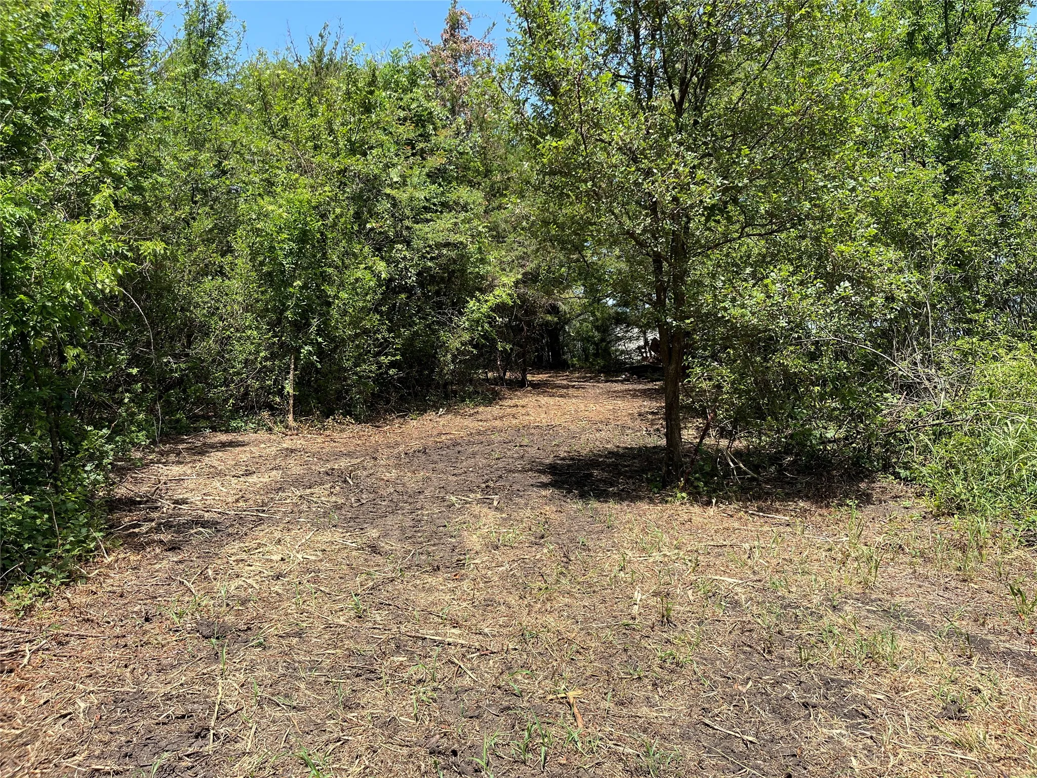 Unimproved Land For Sale in Grayson County , 910 Kentucky Town Road, Whitewright, Texas 75491, 0, 0, Garage spaces, 0 Sqft, built in 0, mls#21336486, Real Estate Agent in Whitewright, Homes For Sale in Grayson county, Homes For Sale in Whitewright, Realtor in Whitewright Texas, Real Estate Brokerage Independent Realty Texas, Luminita Cordes Realtor