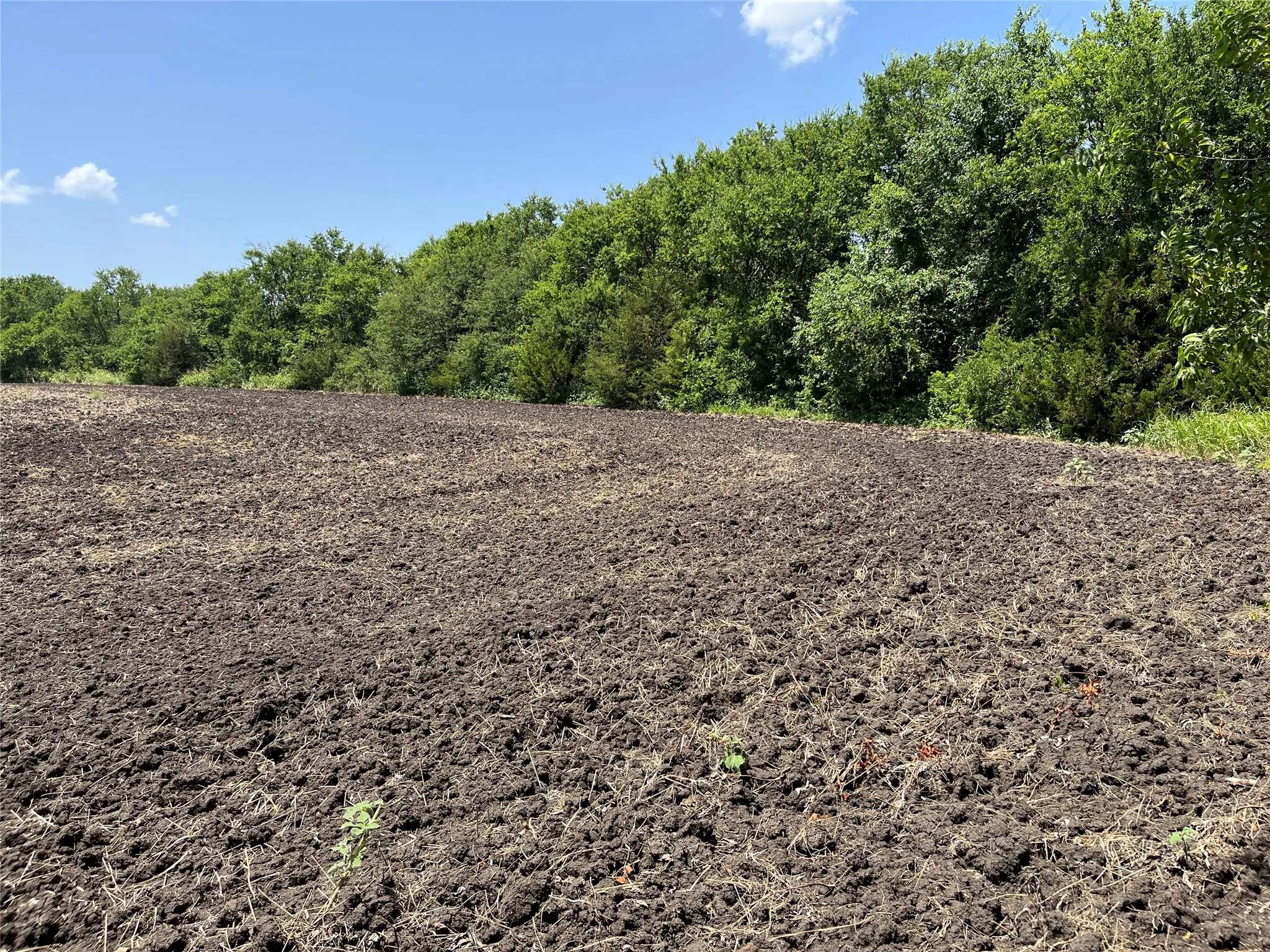 Unimproved Land For Sale in Grayson County , 910 Kentucky Town Road, Whitewright, Texas 75491, 0, 0, Garage spaces, 0 Sqft, built in 0, mls#21336486, Real Estate Agent in Whitewright, Homes For Sale in Grayson county, Homes For Sale in Whitewright, Realtor in Whitewright Texas, Real Estate Brokerage Independent Realty Texas, Luminita Cordes Realtor