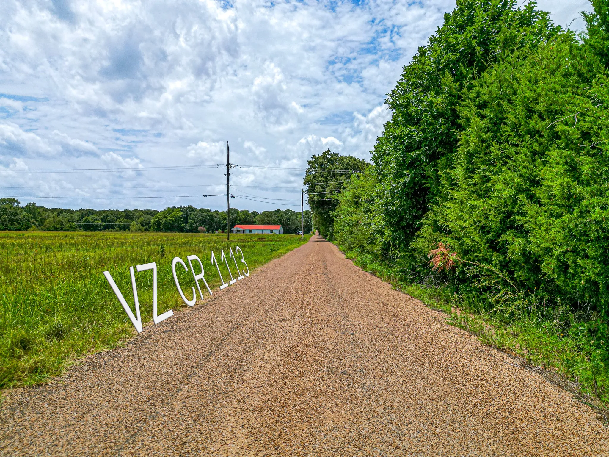 Unimproved Land For Sale in Van Zandt County , TBD Lot 4 VZ County Road 1113, Fruitvale, Texas 75127, 0, 0, Garage spaces, 0 Sqft, built in 0, Price $175,000, mls#21339533, Real Estate Agent in Fruitvale, Homes For Sale in Van Zandt county, Homes For Sale in Fruitvale, Realtor in Fruitvale Texas, Real Estate Brokerage Independent Realty Texas, Luminita Cordes Realtor