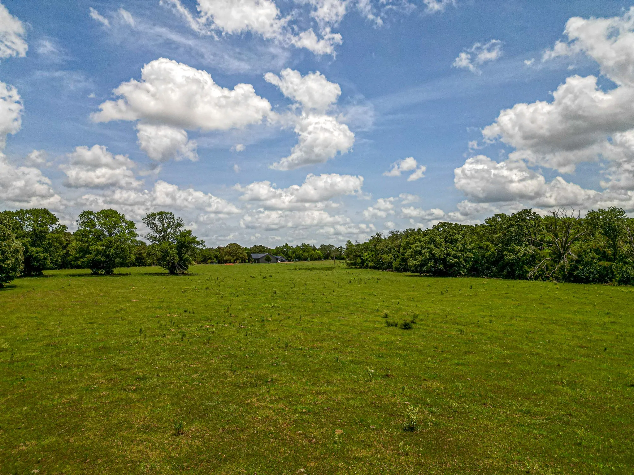 Unimproved Land For Sale in Van Zandt County , TBD Lot 4 VZ County Road 1113, Fruitvale, Texas 75127, 0, 0, Garage spaces, 0 Sqft, built in 0, Price $175,000, mls#21339533, Real Estate Agent in Fruitvale, Homes For Sale in Van Zandt county, Homes For Sale in Fruitvale, Realtor in Fruitvale Texas, Real Estate Brokerage Independent Realty Texas, Luminita Cordes Realtor