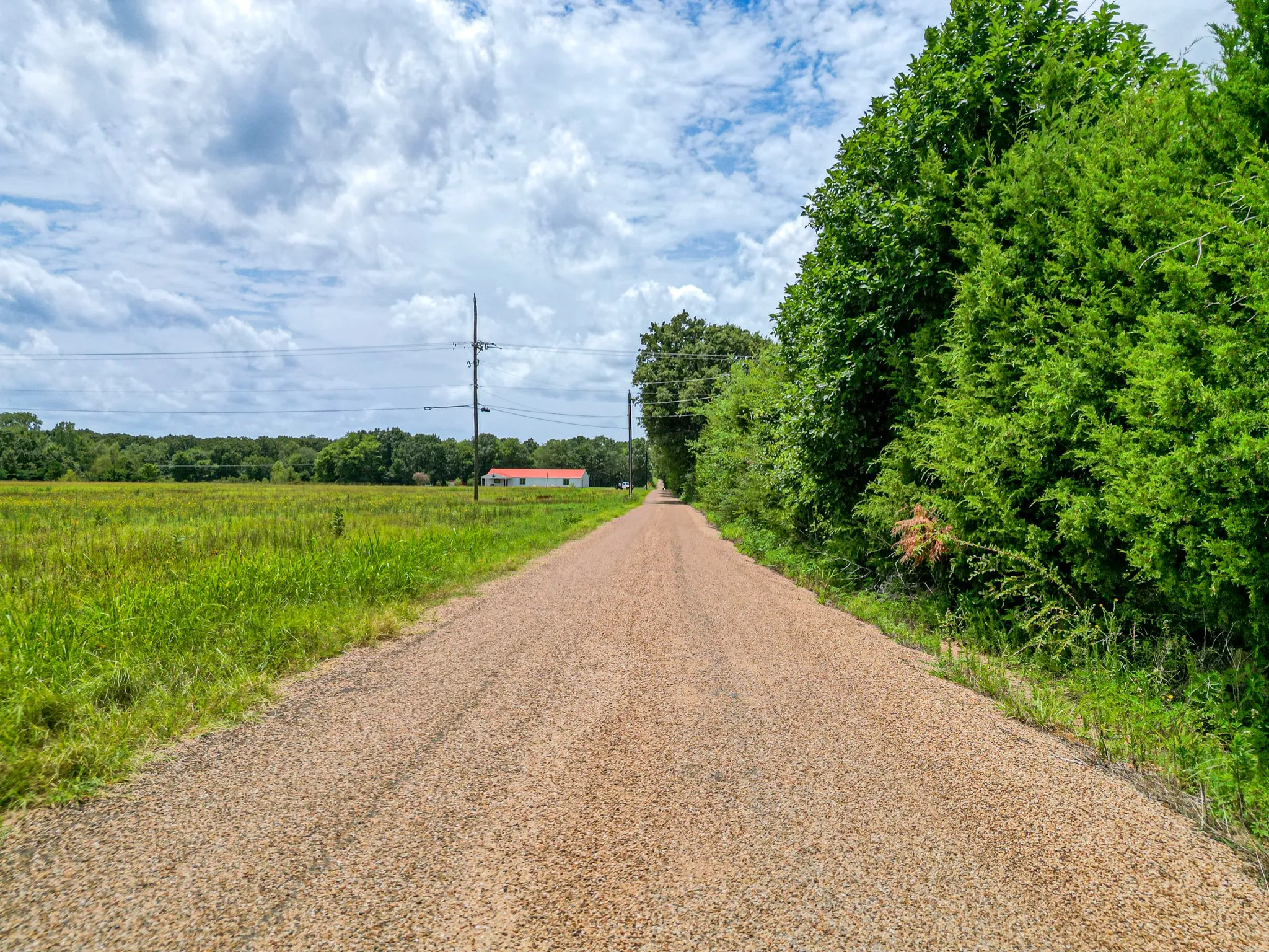 Unimproved Land For Sale in Van Zandt County , TBD Lot 4 VZ County Road 1113, Fruitvale, Texas 75127, 0, 0, Garage spaces, 0 Sqft, built in 0, Price $175,000, mls#21339533, Real Estate Agent in Fruitvale, Homes For Sale in Van Zandt county, Homes For Sale in Fruitvale, Realtor in Fruitvale Texas, Real Estate Brokerage Independent Realty Texas, Luminita Cordes Realtor