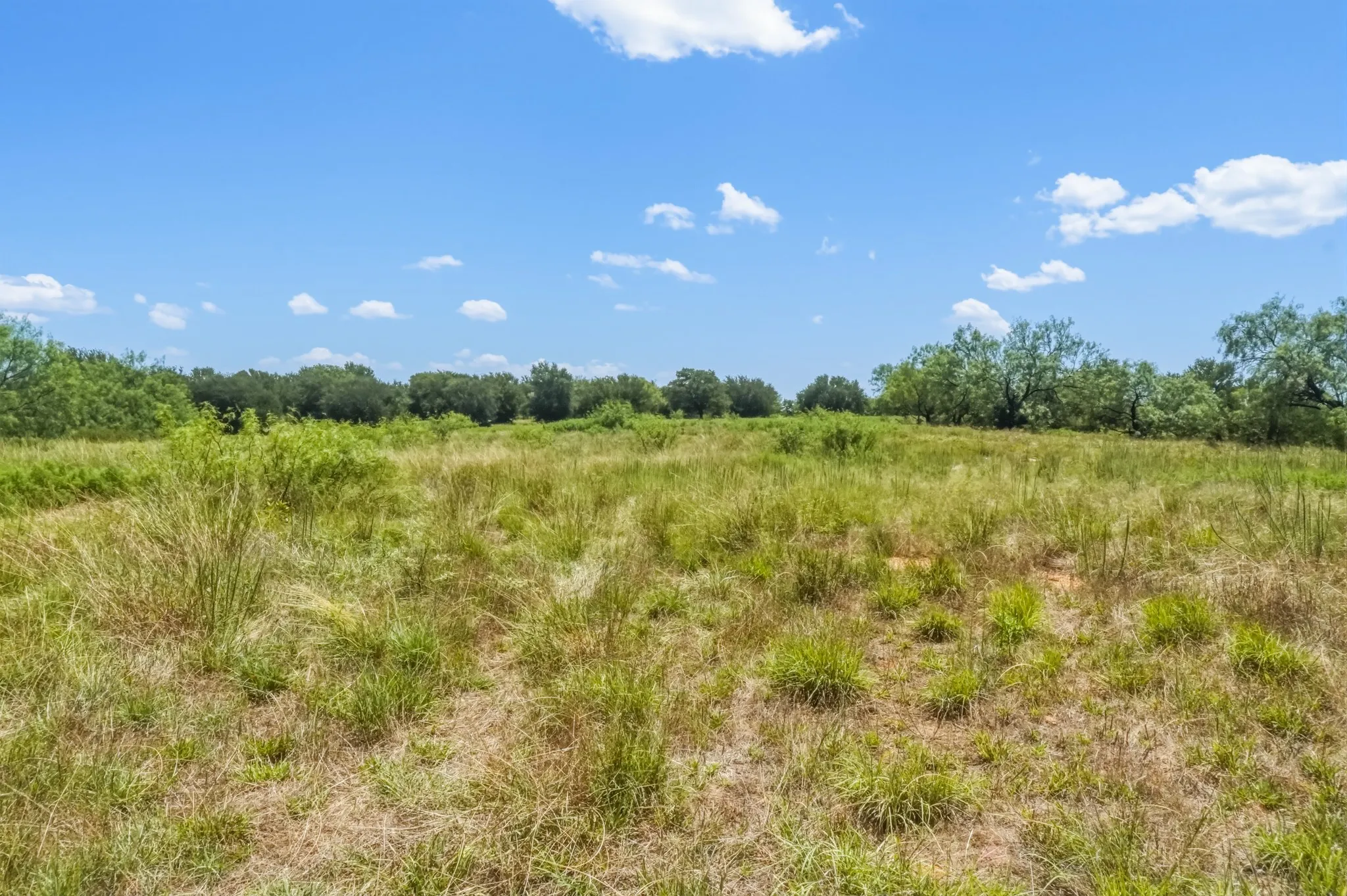 Ranch For Sale in Jack County , 100 Acres FM 1156, Jacksboro, Texas 76458, 0, 0, Garage spaces, 0 Sqft, built in 1958, mls#21339582, Real Estate Agent in Jacksboro, Homes For Sale in Jack county, Homes For Sale in Jacksboro, Realtor in Jacksboro Texas, Real Estate Brokerage Independent Realty Texas, Luminita Cordes Realtor