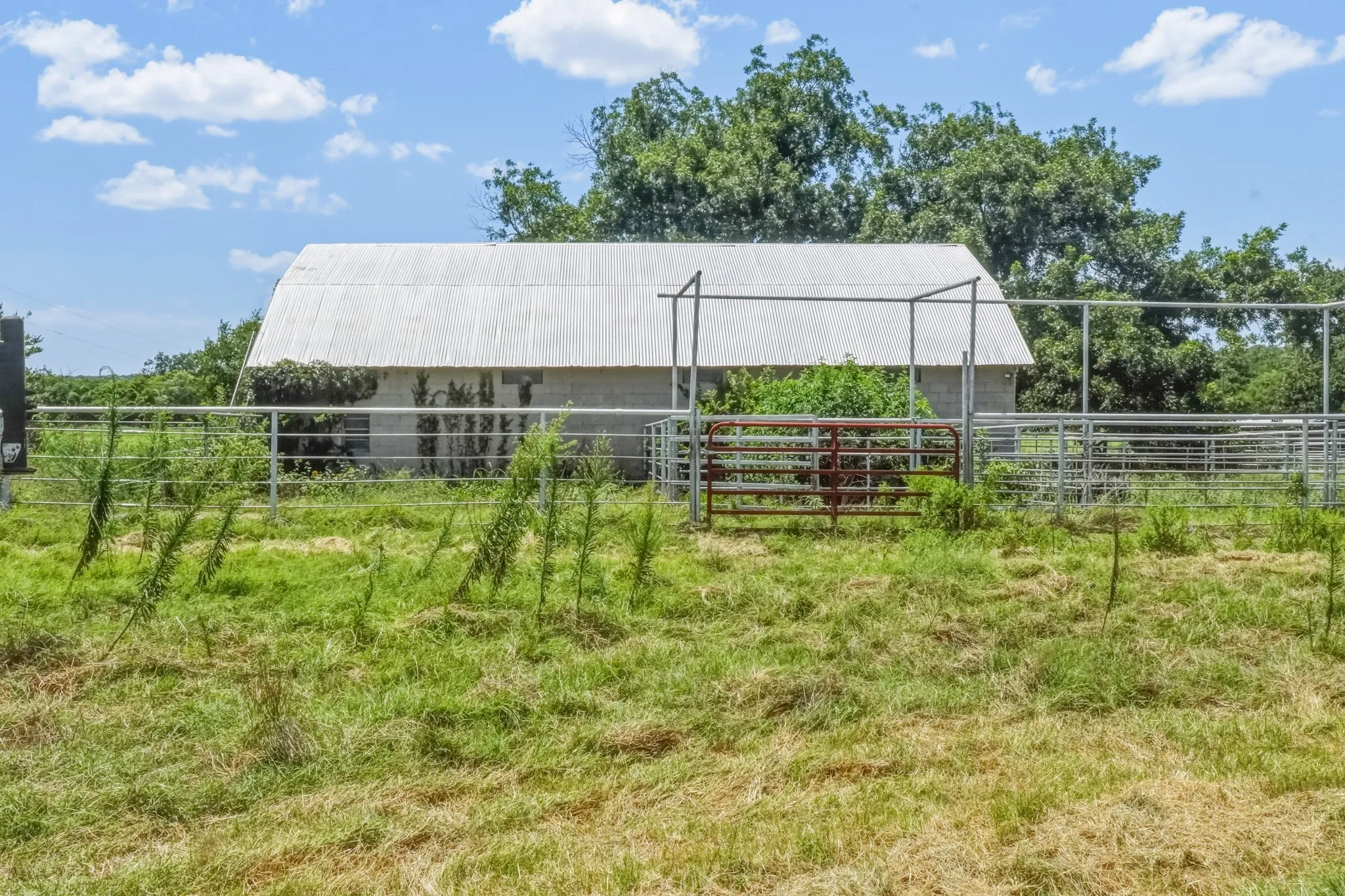 Ranch For Sale in Jack County , 100 Acres FM 1156, Jacksboro, Texas 76458, 0, 0, Garage spaces, 0 Sqft, built in 1958, mls#21339582, Real Estate Agent in Jacksboro, Homes For Sale in Jack county, Homes For Sale in Jacksboro, Realtor in Jacksboro Texas, Real Estate Brokerage Independent Realty Texas, Luminita Cordes Realtor