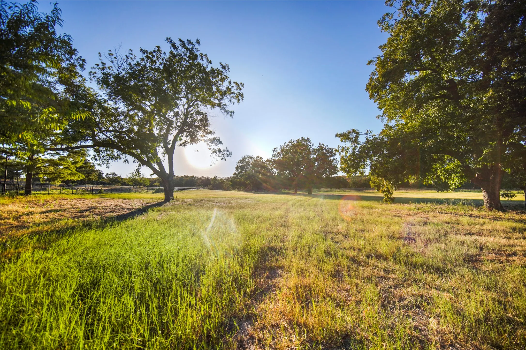 Ranch For Sale in Jack County , 100 Acres FM 1156, Jacksboro, Texas 76458, 0, 0, Garage spaces, 0 Sqft, built in 1958, mls#21339582, Real Estate Agent in Jacksboro, Homes For Sale in Jack county, Homes For Sale in Jacksboro, Realtor in Jacksboro Texas, Real Estate Brokerage Independent Realty Texas, Luminita Cordes Realtor