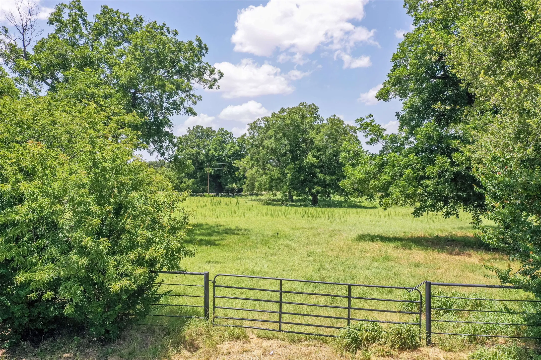 Ranch For Sale in Jack County , 100 Acres FM 1156, Jacksboro, Texas 76458, 0, 0, Garage spaces, 0 Sqft, built in 1958, mls#21339582, Real Estate Agent in Jacksboro, Homes For Sale in Jack county, Homes For Sale in Jacksboro, Realtor in Jacksboro Texas, Real Estate Brokerage Independent Realty Texas, Luminita Cordes Realtor