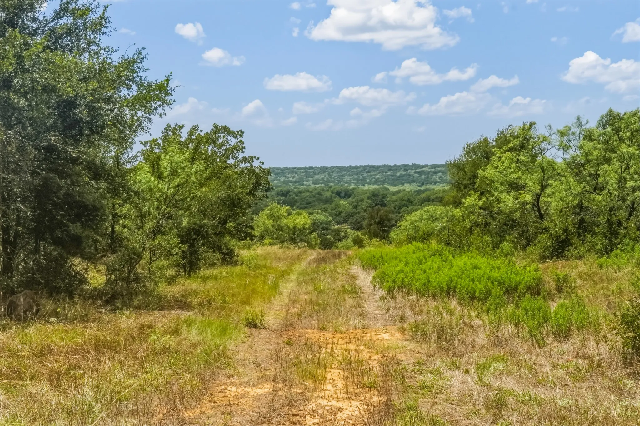 Ranch For Sale in Jack County , 100 Acres FM 1156, Jacksboro, Texas 76458, 0, 0, Garage spaces, 0 Sqft, built in 1958, mls#21339582, Real Estate Agent in Jacksboro, Homes For Sale in Jack county, Homes For Sale in Jacksboro, Realtor in Jacksboro Texas, Real Estate Brokerage Independent Realty Texas, Luminita Cordes Realtor