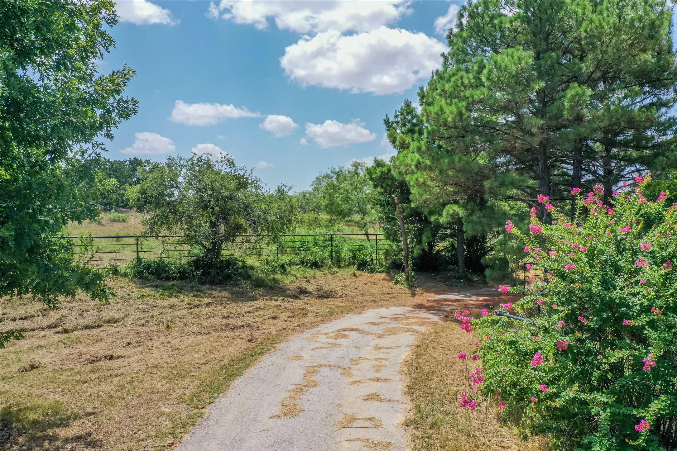 Ranch For Sale in Jack County , 100 Acres FM 1156, Jacksboro, Texas 76458, 0, 0, Garage spaces, 0 Sqft, built in 1958, mls#21339582, Real Estate Agent in Jacksboro, Homes For Sale in Jack county, Homes For Sale in Jacksboro, Realtor in Jacksboro Texas, Real Estate Brokerage Independent Realty Texas, Luminita Cordes Realtor