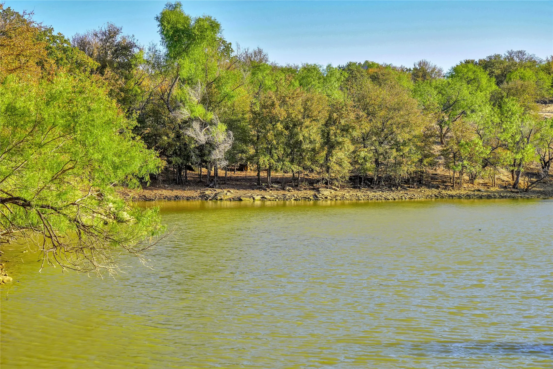 Ranch For Sale in Jack County , 100 Acres FM 1156, Jacksboro, Texas 76458, 0, 0, Garage spaces, 0 Sqft, built in 1958, mls#21339582, Real Estate Agent in Jacksboro, Homes For Sale in Jack county, Homes For Sale in Jacksboro, Realtor in Jacksboro Texas, Real Estate Brokerage Independent Realty Texas, Luminita Cordes Realtor