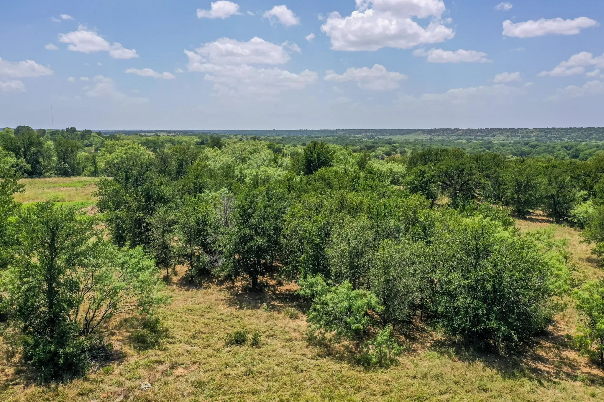 Ranch For Sale in Jack County , 100 Acres FM 1156, Jacksboro, Texas 76458, 0, 0, Garage spaces, 0 Sqft, built in 1958, mls#21339582, Real Estate Agent in Jacksboro, Homes For Sale in Jack county, Homes For Sale in Jacksboro, Realtor in Jacksboro Texas, Real Estate Brokerage Independent Realty Texas, Luminita Cordes Realtor