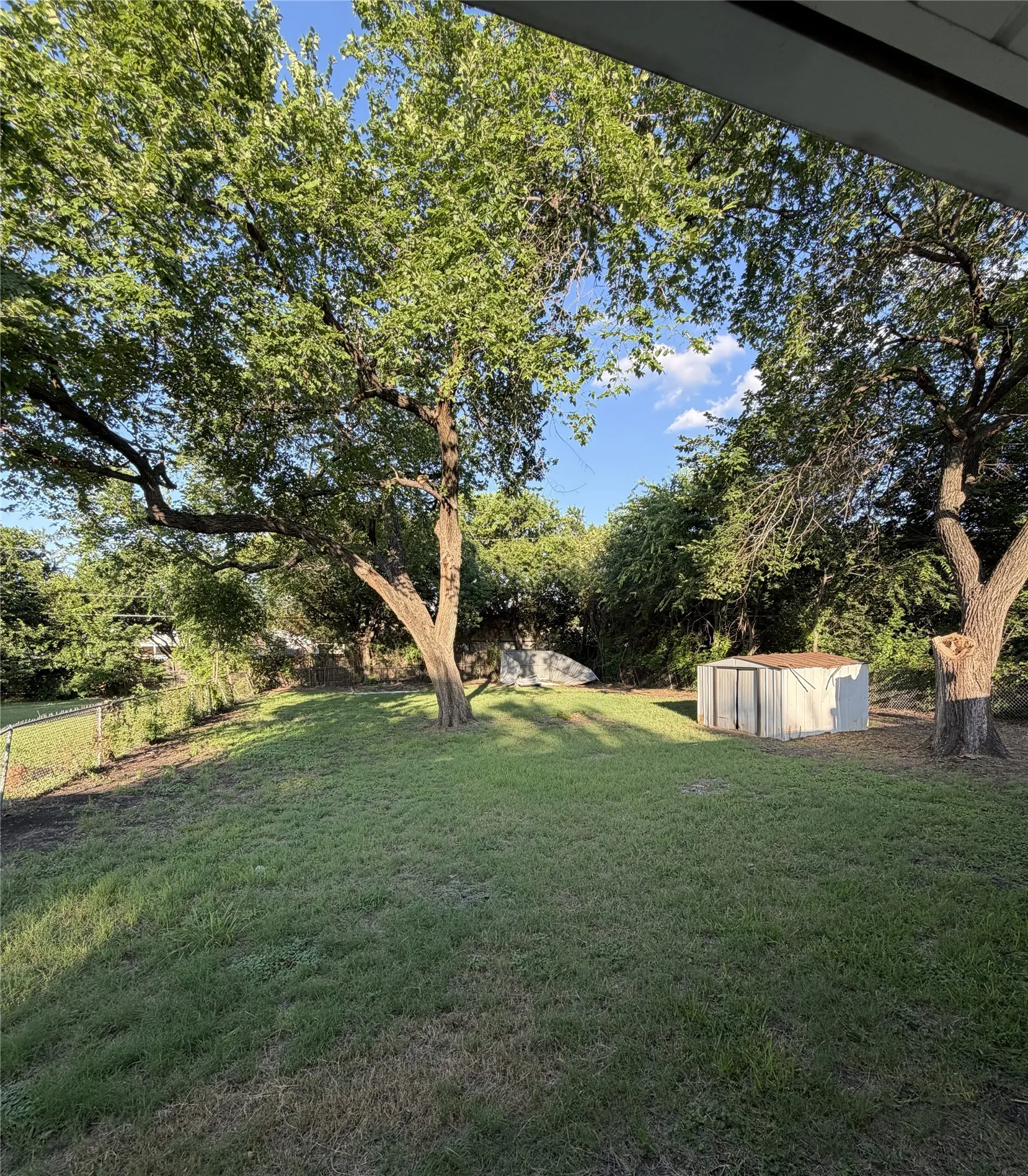 Expansive green space with mature trees providing natural shading