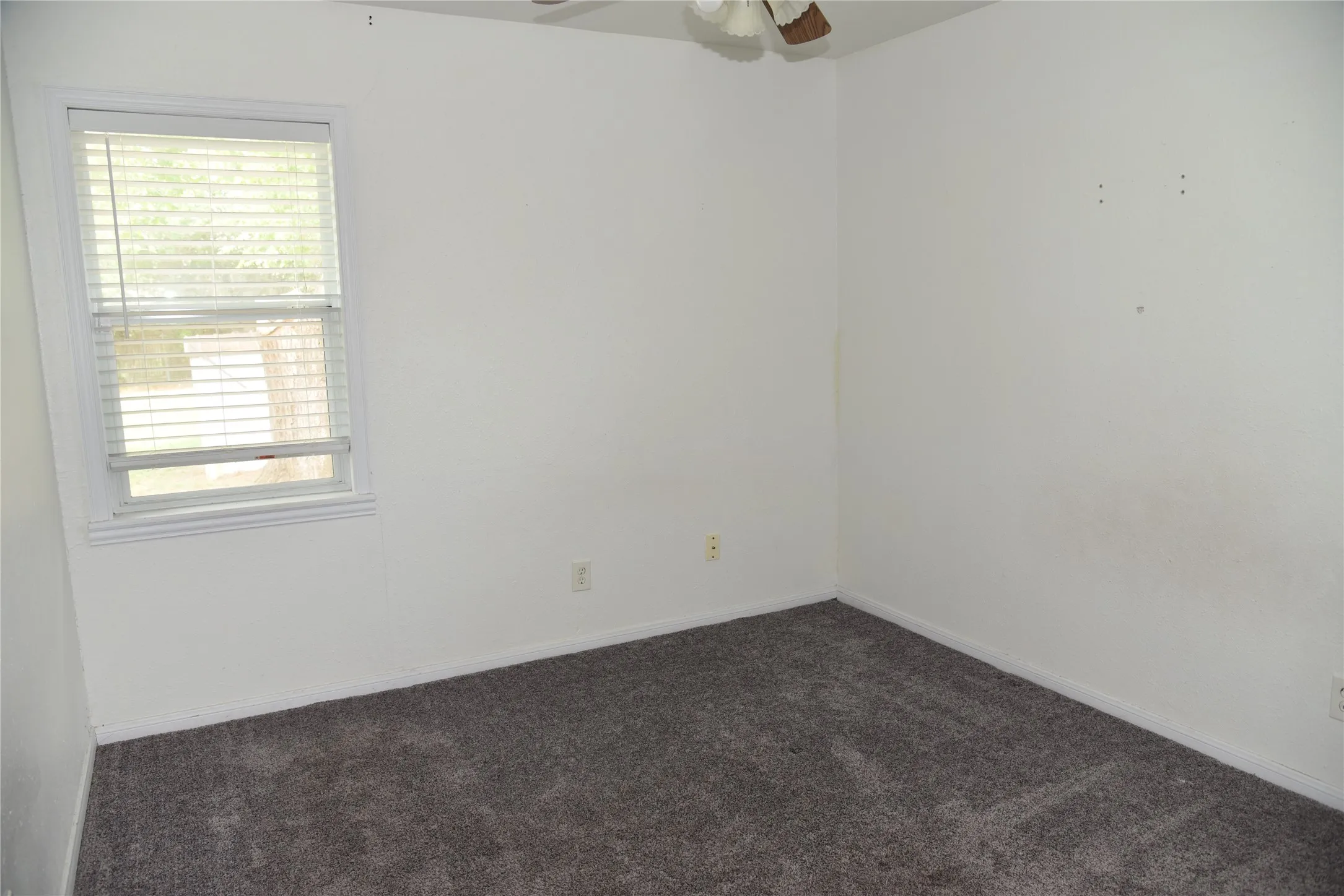 Neutral white wall paint with a white-framed window featuring horizontal blinds