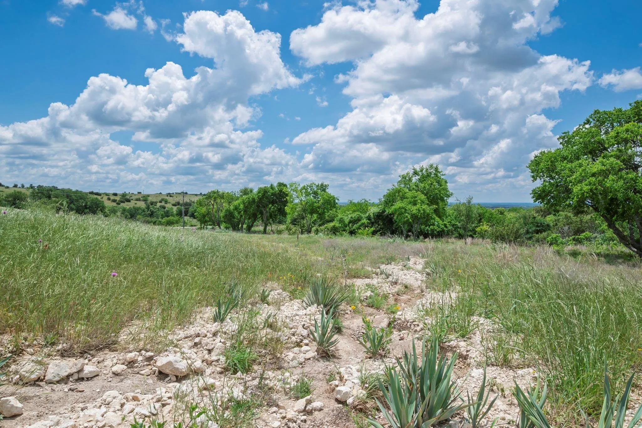 Unimproved Land For Sale in Hood County , 2500 Tom Chaney, Granbury, Texas 76049, 0, 0, Garage spaces, 0 Sqft, built in 0, Price $130,000, mls#21338860, Real Estate Agent in Granbury, Homes For Sale in Hood county, Homes For Sale in Granbury, Realtor in Granbury Texas, Real Estate Brokerage Independent Realty Texas, Luminita Cordes Realtor