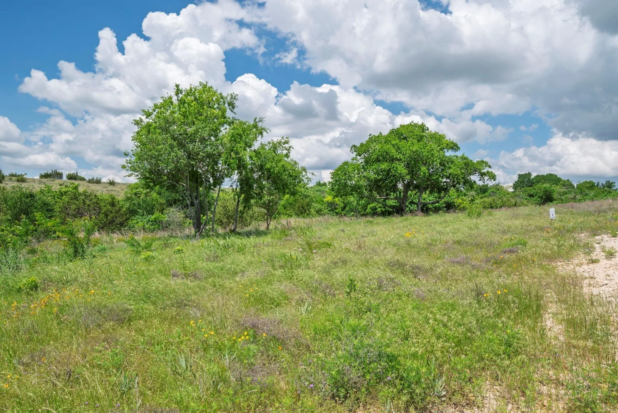 Unimproved Land For Sale in Hood County , 2500 Tom Chaney, Granbury, Texas 76049, 0, 0, Garage spaces, 0 Sqft, built in 0, Price $130,000, mls#21338860, Real Estate Agent in Granbury, Homes For Sale in Hood county, Homes For Sale in Granbury, Realtor in Granbury Texas, Real Estate Brokerage Independent Realty Texas, Luminita Cordes Realtor