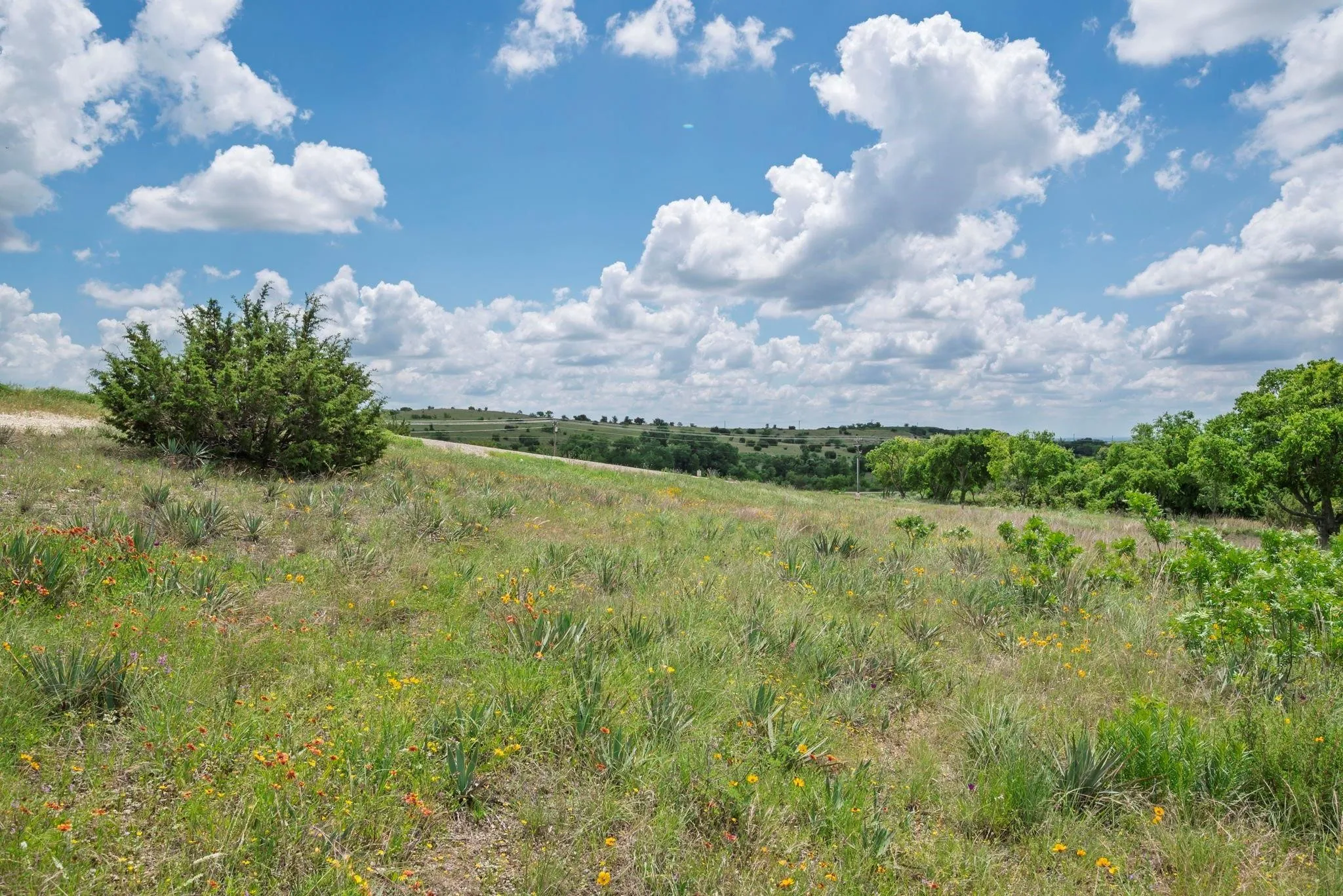 Unimproved Land For Sale in Hood County , 2500 Tom Chaney, Granbury, Texas 76049, 0, 0, Garage spaces, 0 Sqft, built in 0, Price $130,000, mls#21338860, Real Estate Agent in Granbury, Homes For Sale in Hood county, Homes For Sale in Granbury, Realtor in Granbury Texas, Real Estate Brokerage Independent Realty Texas, Luminita Cordes Realtor