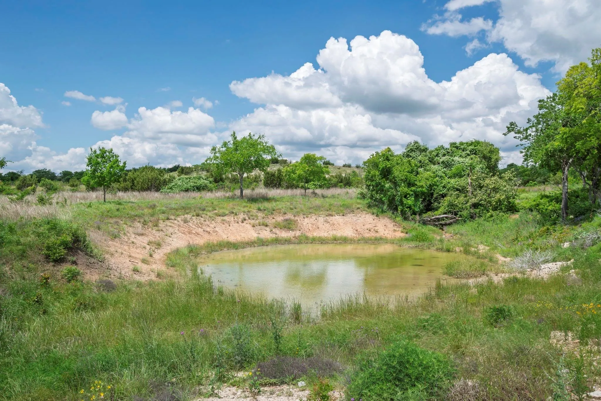 Unimproved Land For Sale in Hood County , 2500 Tom Chaney, Granbury, Texas 76049, 0, 0, Garage spaces, 0 Sqft, built in 0, Price $130,000, mls#21338860, Real Estate Agent in Granbury, Homes For Sale in Hood county, Homes For Sale in Granbury, Realtor in Granbury Texas, Real Estate Brokerage Independent Realty Texas, Luminita Cordes Realtor