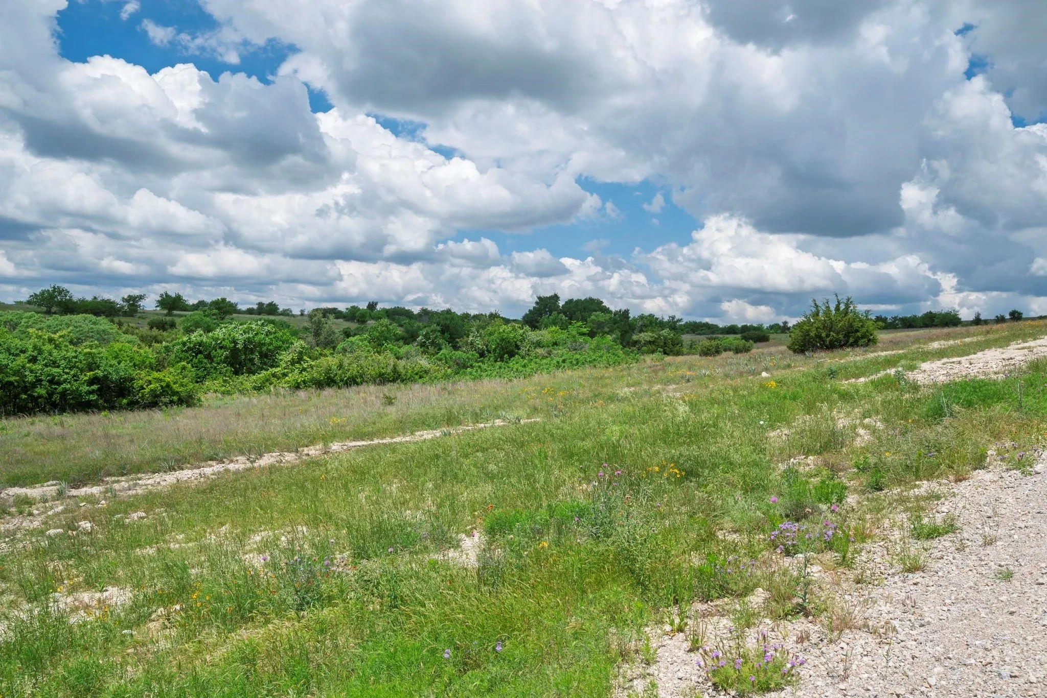 Unimproved Land For Sale in Hood County , 2500 Tom Chaney, Granbury, Texas 76049, 0, 0, Garage spaces, 0 Sqft, built in 0, Price $130,000, mls#21338860, Real Estate Agent in Granbury, Homes For Sale in Hood county, Homes For Sale in Granbury, Realtor in Granbury Texas, Real Estate Brokerage Independent Realty Texas, Luminita Cordes Realtor