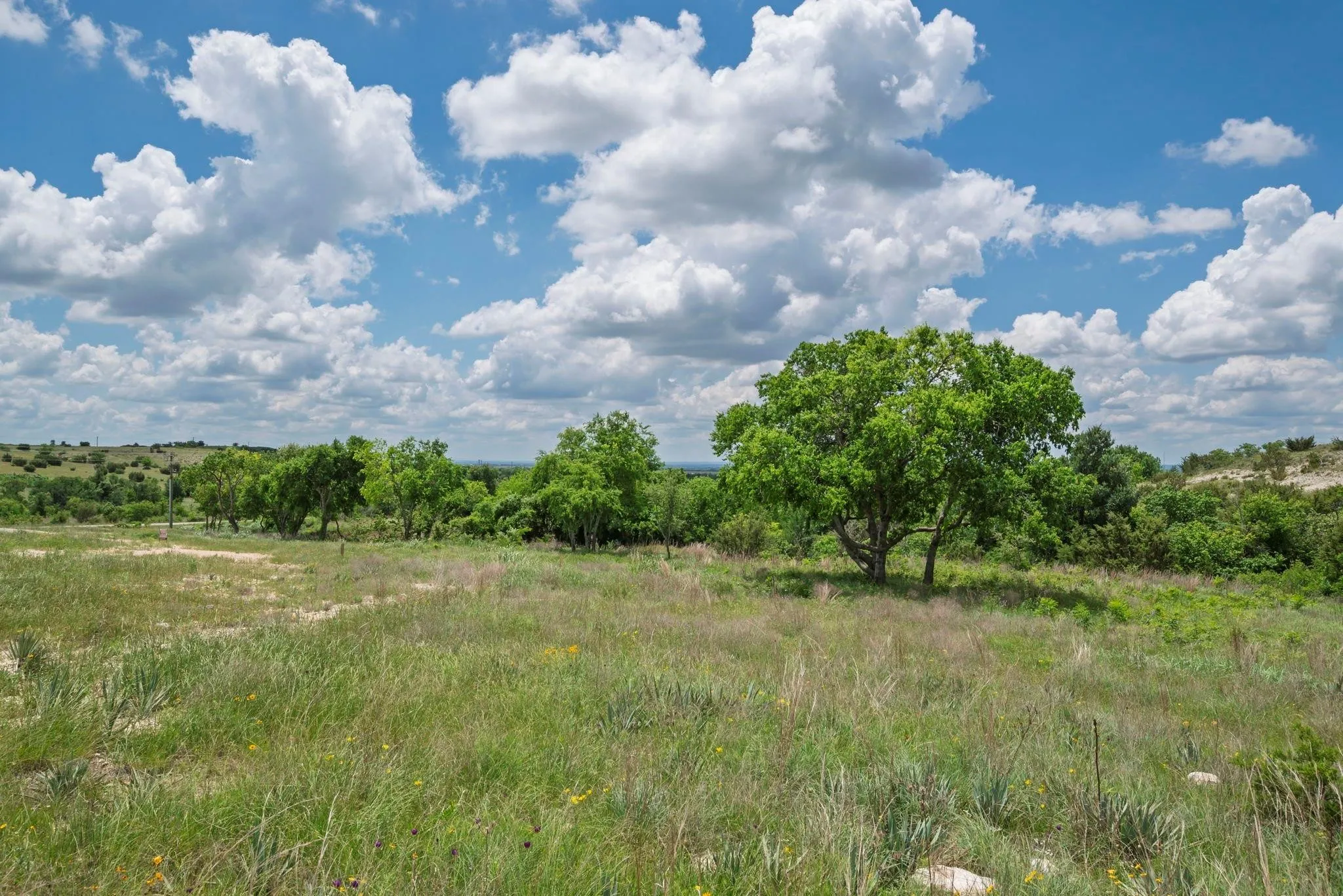 Unimproved Land For Sale in Hood County , 2500 Tom Chaney, Granbury, Texas 76049, 0, 0, Garage spaces, 0 Sqft, built in 0, Price $130,000, mls#21338860, Real Estate Agent in Granbury, Homes For Sale in Hood county, Homes For Sale in Granbury, Realtor in Granbury Texas, Real Estate Brokerage Independent Realty Texas, Luminita Cordes Realtor