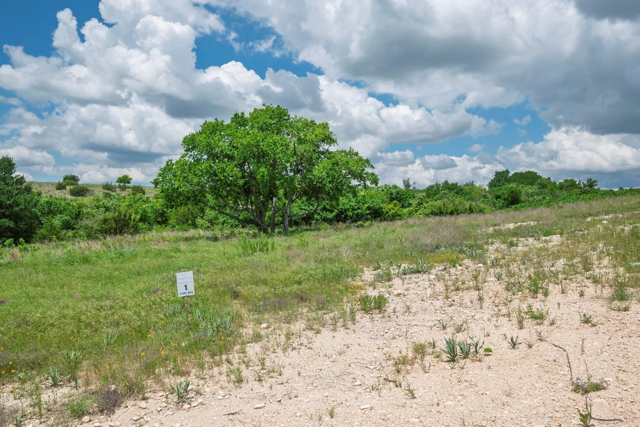 Unimproved Land For Sale in Hood County , 2500 Tom Chaney, Granbury, Texas 76049, 0, 0, Garage spaces, 0 Sqft, built in 0, Price $130,000, mls#21338860, Real Estate Agent in Granbury, Homes For Sale in Hood county, Homes For Sale in Granbury, Realtor in Granbury Texas, Real Estate Brokerage Independent Realty Texas, Luminita Cordes Realtor