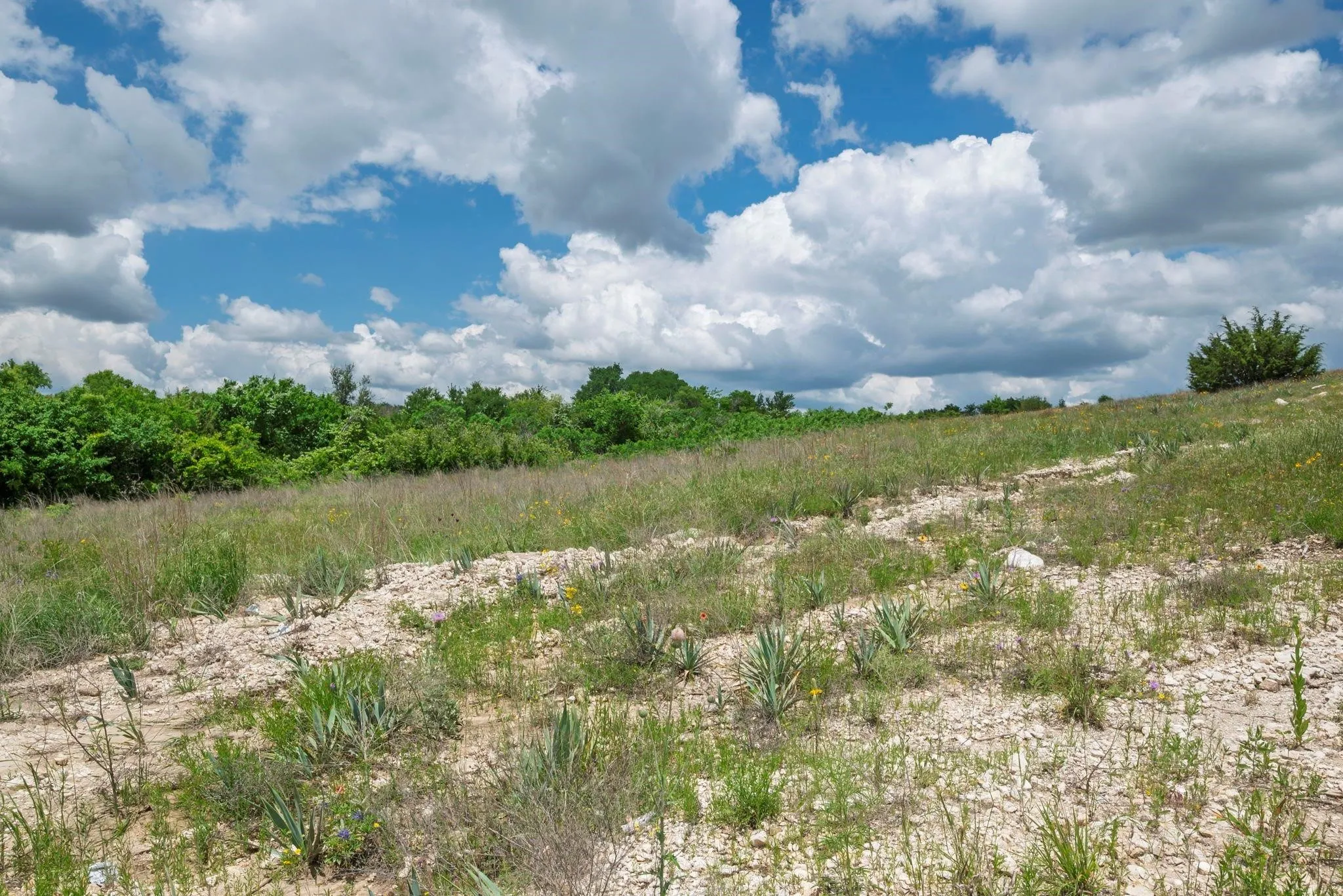 Unimproved Land For Sale in Hood County , 2500 Tom Chaney, Granbury, Texas 76049, 0, 0, Garage spaces, 0 Sqft, built in 0, Price $130,000, mls#21338860, Real Estate Agent in Granbury, Homes For Sale in Hood county, Homes For Sale in Granbury, Realtor in Granbury Texas, Real Estate Brokerage Independent Realty Texas, Luminita Cordes Realtor
