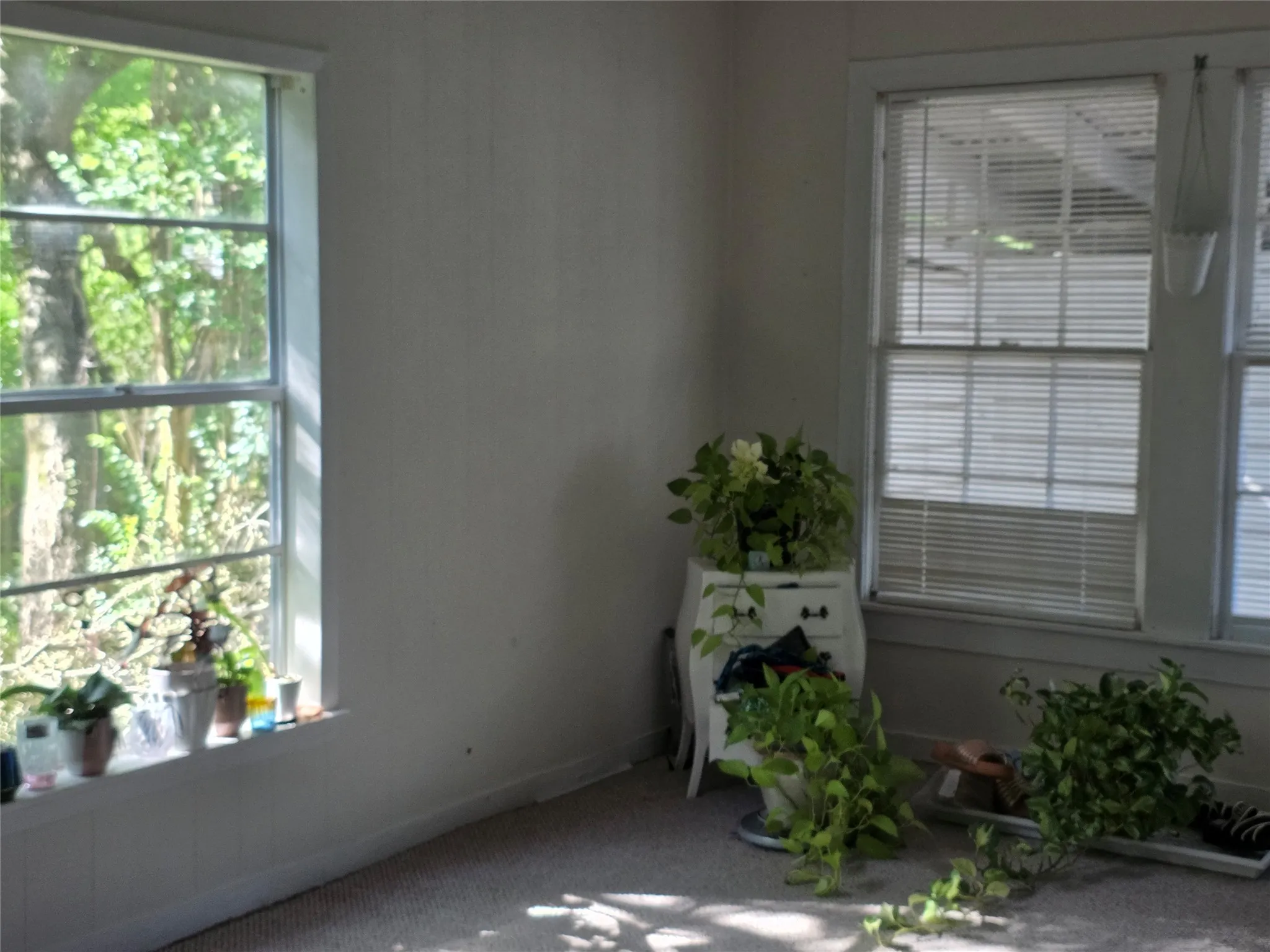 Single Family Residence For Sale in Franklin (TX) County , 810 N Main, Winnsboro, Texas 75494, 2 Bedroom, 2 Bathroom, Garage spaces, 1,666 Sqft, built in 1920, mls#21339552, Real Estate Agent in Winnsboro, Homes For Sale in Franklin (TX) county, Homes For Sale in Winnsboro, Realtor in Winnsboro Texas, Real Estate Brokerage Independent Realty Texas, Luminita Cordes Realtor