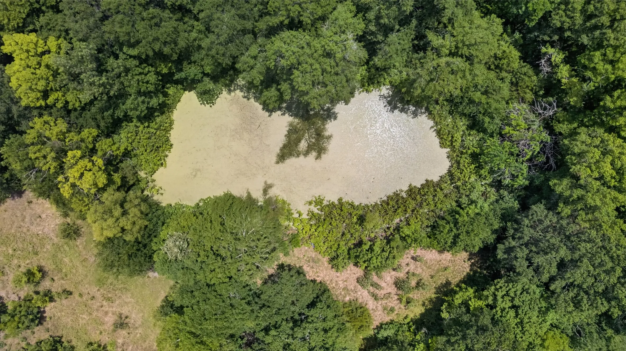Improved Land For Sale in Hunt County , 130 County Road 3102, Greenville, Texas 75402, 0, 0, Garage spaces, 0 Sqft, built in 1960, Price $350,000, mls#21337817, Real Estate Agent in Greenville, Homes For Sale in Hunt county, Homes For Sale in Greenville, Realtor in Greenville Texas, Real Estate Brokerage Independent Realty Texas, Luminita Cordes Realtor