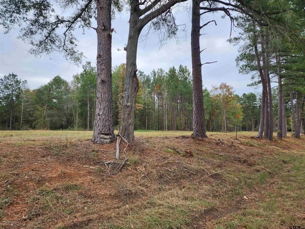 Unimproved Land For Sale in Smith County , 14442 Cr-363, Winona, Texas 75792, 0, 0, Garage spaces, 0 Sqft, built in 0, Price $85,980, mls#21339633, Real Estate Agent in Winona, Homes For Sale in Smith county, Homes For Sale in Winona, Realtor in Winona Texas, Real Estate Brokerage Independent Realty Texas, Luminita Cordes Realtor