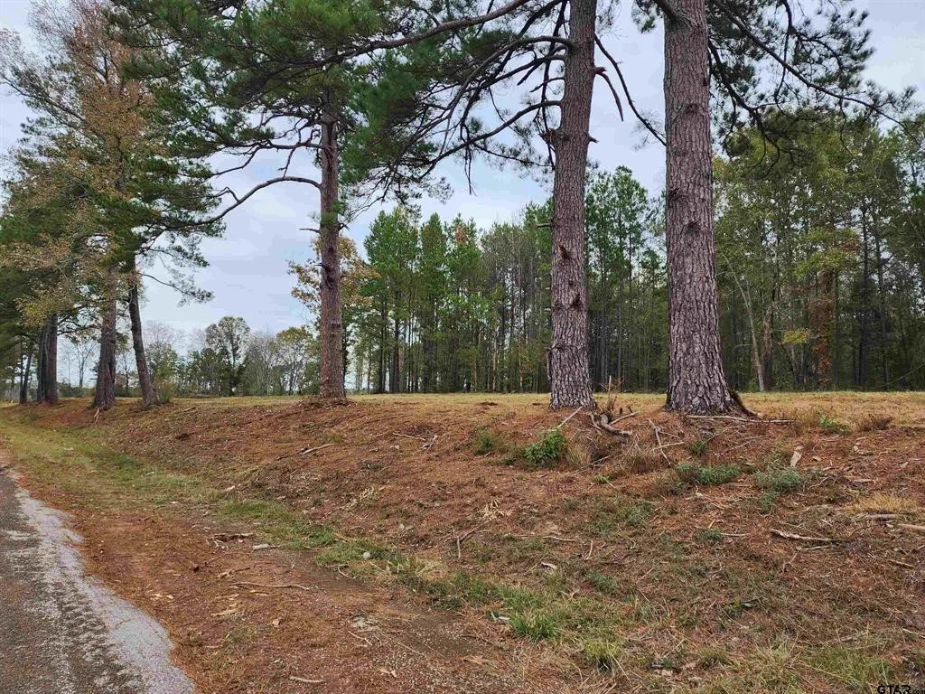 Unimproved Land For Sale in Smith County , 14442 Cr-363, Winona, Texas 75792, 0, 0, Garage spaces, 0 Sqft, built in 0, Price $85,980, mls#21339633, Real Estate Agent in Winona, Homes For Sale in Smith county, Homes For Sale in Winona, Realtor in Winona Texas, Real Estate Brokerage Independent Realty Texas, Luminita Cordes Realtor