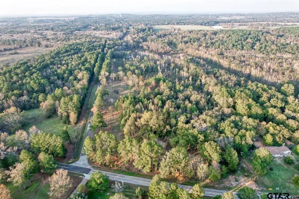 Unimproved Land For Sale in Smith County , 14442 Cr-363, Winona, Texas 75792, 0, 0, Garage spaces, 0 Sqft, built in 0, Price $85,980, mls#21339633, Real Estate Agent in Winona, Homes For Sale in Smith county, Homes For Sale in Winona, Realtor in Winona Texas, Real Estate Brokerage Independent Realty Texas, Luminita Cordes Realtor