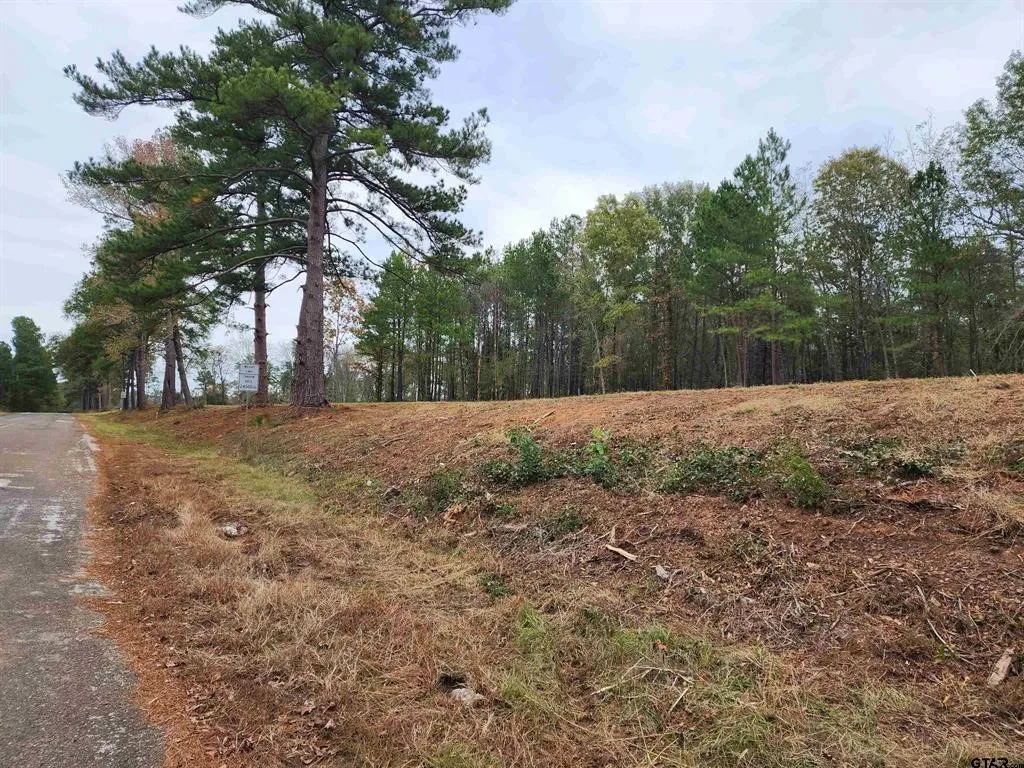 Unimproved Land For Sale in Smith County , 14442 Cr-363, Winona, Texas 75792, 0, 0, Garage spaces, 0 Sqft, built in 0, Price $85,980, mls#21339633, Real Estate Agent in Winona, Homes For Sale in Smith county, Homes For Sale in Winona, Realtor in Winona Texas, Real Estate Brokerage Independent Realty Texas, Luminita Cordes Realtor