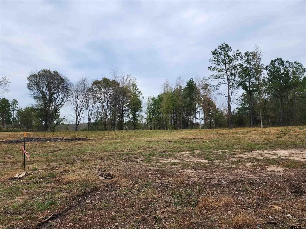 Unimproved Land For Sale in Smith County , 14442 Cr-363, Winona, Texas 75792, 0, 0, Garage spaces, 0 Sqft, built in 0, Price $85,980, mls#21339633, Real Estate Agent in Winona, Homes For Sale in Smith county, Homes For Sale in Winona, Realtor in Winona Texas, Real Estate Brokerage Independent Realty Texas, Luminita Cordes Realtor