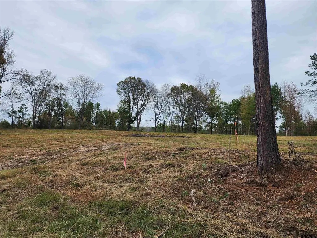 Unimproved Land For Sale in Smith County , 14442 Cr-363, Winona, Texas 75792, 0, 0, Garage spaces, 0 Sqft, built in 0, Price $85,980, mls#21339633, Real Estate Agent in Winona, Homes For Sale in Smith county, Homes For Sale in Winona, Realtor in Winona Texas, Real Estate Brokerage Independent Realty Texas, Luminita Cordes Realtor
