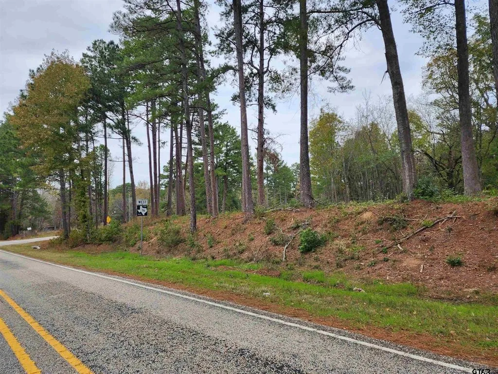 Unimproved Land For Sale in Smith County , 14442 Cr-363, Winona, Texas 75792, 0, 0, Garage spaces, 0 Sqft, built in 0, Price $85,980, mls#21339633, Real Estate Agent in Winona, Homes For Sale in Smith county, Homes For Sale in Winona, Realtor in Winona Texas, Real Estate Brokerage Independent Realty Texas, Luminita Cordes Realtor
