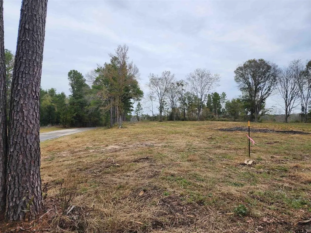Unimproved Land For Sale in Smith County , 14442 Cr-363, Winona, Texas 75792, 0, 0, Garage spaces, 0 Sqft, built in 0, Price $85,980, mls#21339633, Real Estate Agent in Winona, Homes For Sale in Smith county, Homes For Sale in Winona, Realtor in Winona Texas, Real Estate Brokerage Independent Realty Texas, Luminita Cordes Realtor