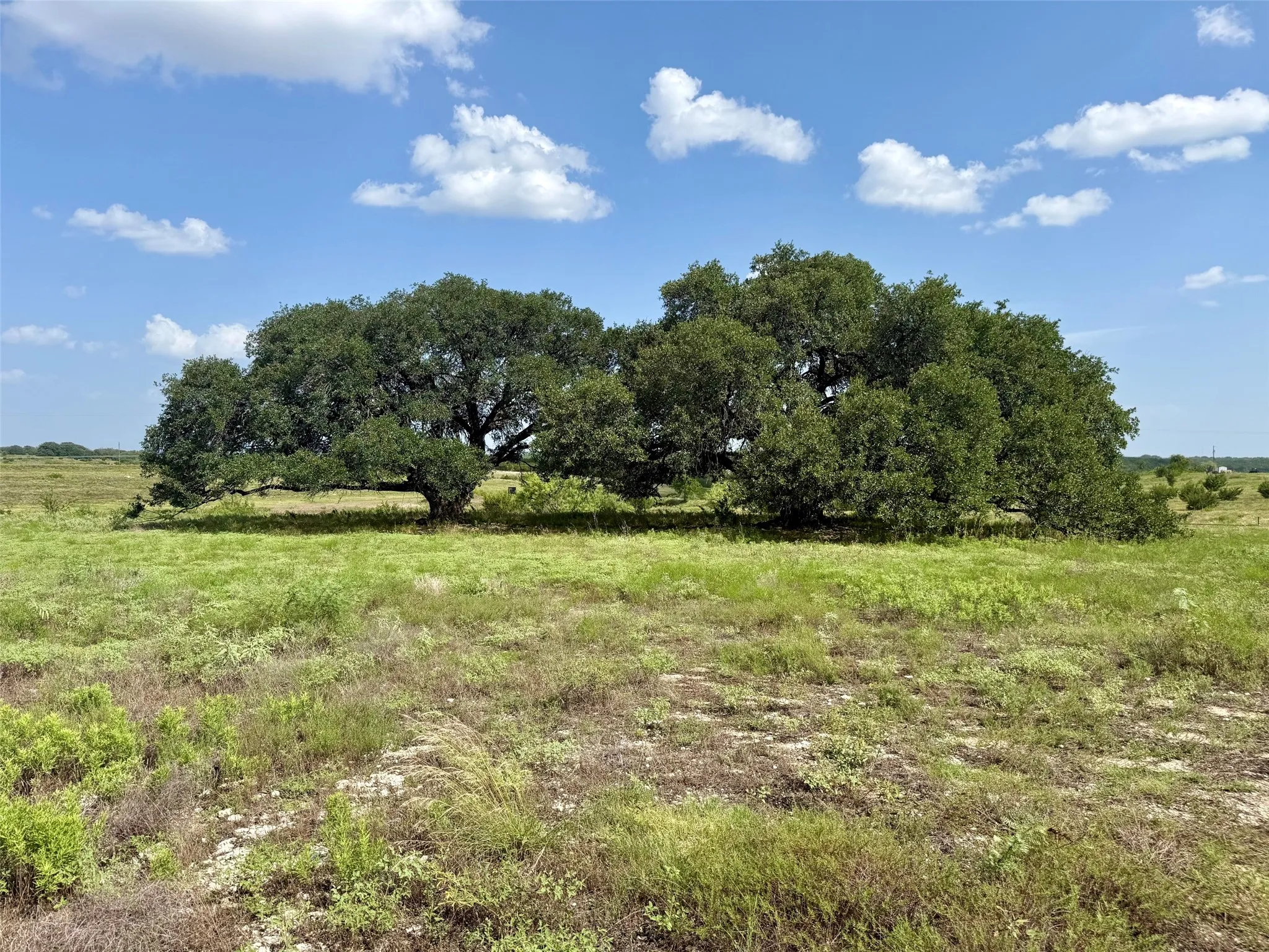 Unimproved Land For Sale in Hamilton County , 13AC TBD PR FM 2905, Hamilton, Texas 76531, 0, 0, Garage spaces, 0 Sqft, built in 0, Price $110,500, mls#21339040, Real Estate Agent in Hamilton, Homes For Sale in Hamilton county, Homes For Sale in Hamilton, Realtor in Hamilton Texas, Real Estate Brokerage Independent Realty Texas, Luminita Cordes Realtor