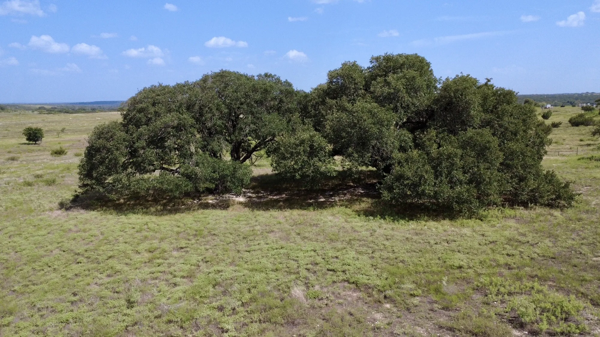 Unimproved Land For Sale in Hamilton County , 13AC TBD PR FM 2905, Hamilton, Texas 76531, 0, 0, Garage spaces, 0 Sqft, built in 0, Price $110,500, mls#21339040, Real Estate Agent in Hamilton, Homes For Sale in Hamilton county, Homes For Sale in Hamilton, Realtor in Hamilton Texas, Real Estate Brokerage Independent Realty Texas, Luminita Cordes Realtor