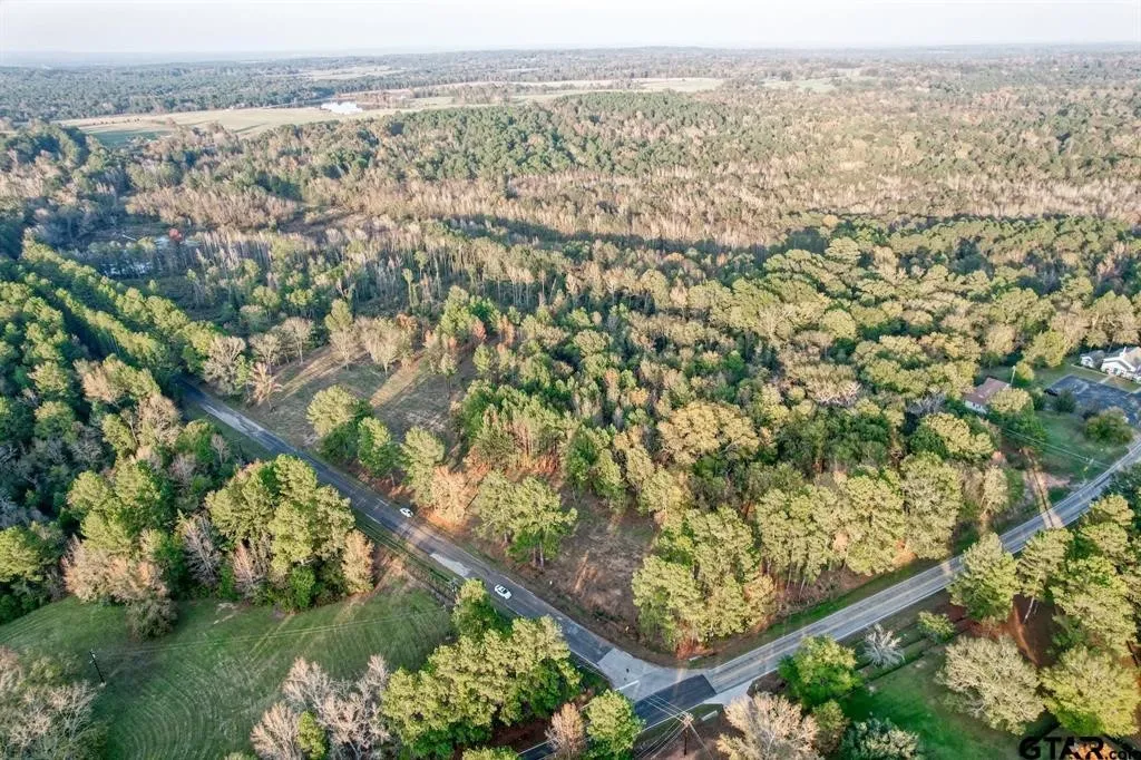 Unimproved Land For Sale in Smith County , 14414 Cr-363, Winona, Texas 75792, 0, 0, Garage spaces, 0 Sqft, built in 0, Price $85,830, mls#21339654, Real Estate Agent in Winona, Homes For Sale in Smith county, Homes For Sale in Winona, Realtor in Winona Texas, Real Estate Brokerage Independent Realty Texas, Luminita Cordes Realtor