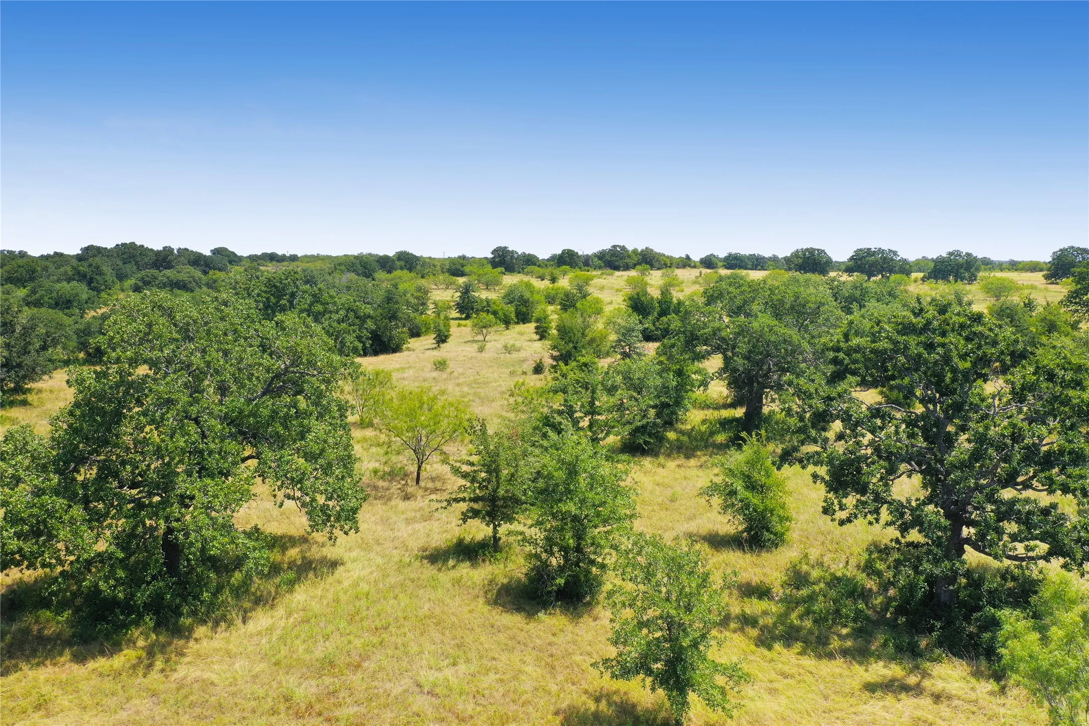 Ranch For Sale in Jack County , 71.63 Acres Slusher Rd, Jacksboro, Texas 76458, 0, 0, Garage spaces, 0 Sqft, built in 0, Price $565,000, mls#21339679, Real Estate Agent in Jacksboro, Homes For Sale in Jack county, Homes For Sale in Jacksboro, Realtor in Jacksboro Texas, Real Estate Brokerage Independent Realty Texas, Luminita Cordes Realtor