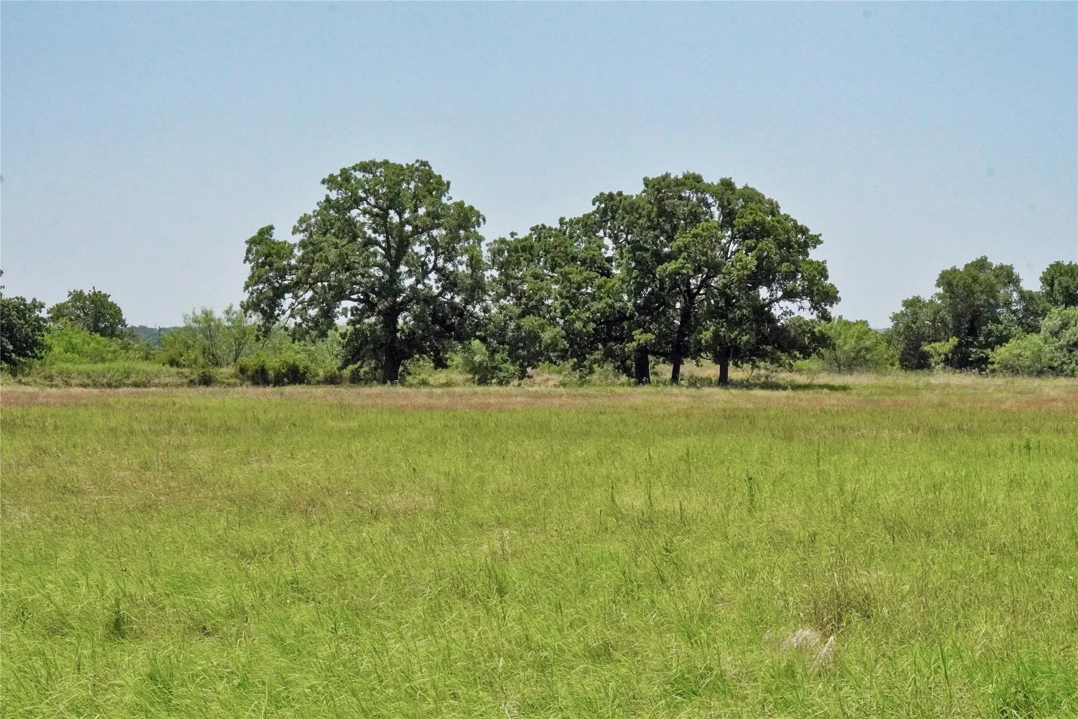 Ranch For Sale in Jack County , 71.63 Acres Slusher Rd, Jacksboro, Texas 76458, 0, 0, Garage spaces, 0 Sqft, built in 0, Price $565,000, mls#21339679, Real Estate Agent in Jacksboro, Homes For Sale in Jack county, Homes For Sale in Jacksboro, Realtor in Jacksboro Texas, Real Estate Brokerage Independent Realty Texas, Luminita Cordes Realtor