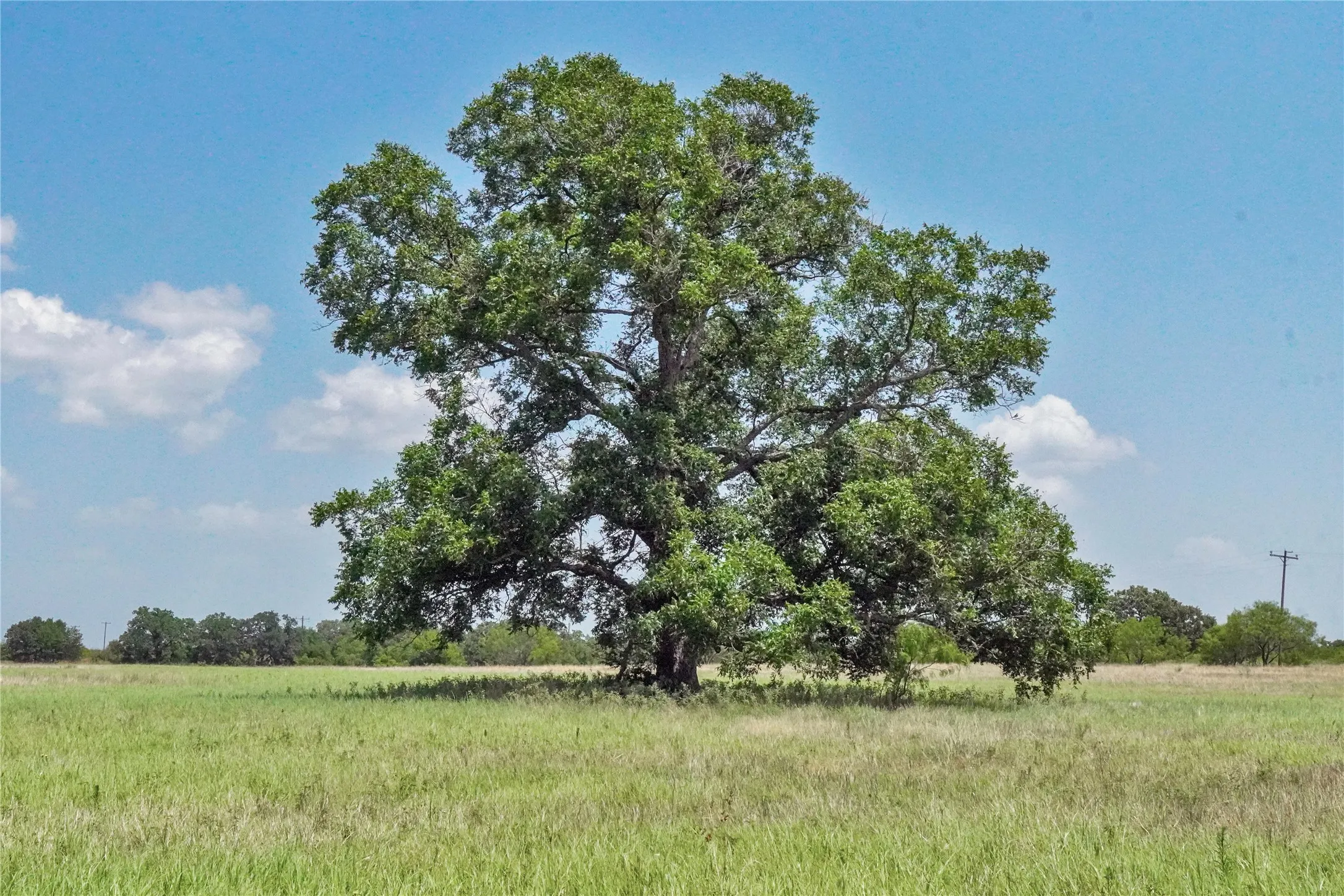 Ranch For Sale in Jack County , 71.63 Acres Slusher Rd, Jacksboro, Texas 76458, 0, 0, Garage spaces, 0 Sqft, built in 0, Price $565,000, mls#21339679, Real Estate Agent in Jacksboro, Homes For Sale in Jack county, Homes For Sale in Jacksboro, Realtor in Jacksboro Texas, Real Estate Brokerage Independent Realty Texas, Luminita Cordes Realtor