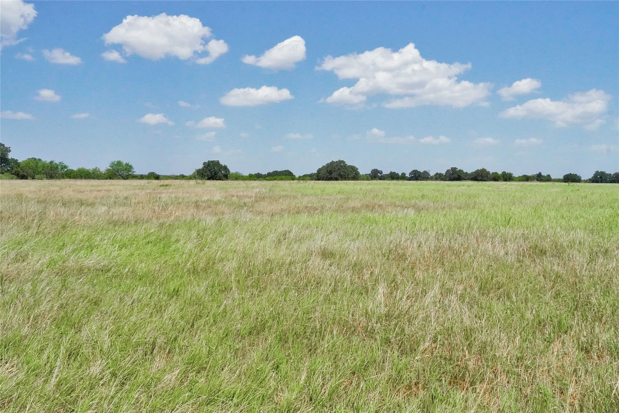 Ranch For Sale in Jack County , 71.63 Acres Slusher Rd, Jacksboro, Texas 76458, 0, 0, Garage spaces, 0 Sqft, built in 0, Price $565,000, mls#21339679, Real Estate Agent in Jacksboro, Homes For Sale in Jack county, Homes For Sale in Jacksboro, Realtor in Jacksboro Texas, Real Estate Brokerage Independent Realty Texas, Luminita Cordes Realtor