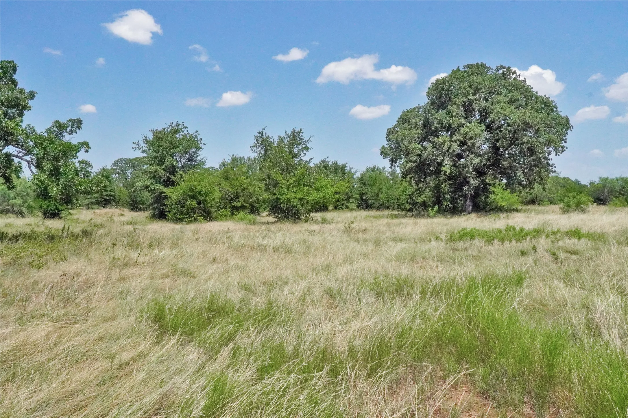 Ranch For Sale in Jack County , 71.63 Acres Slusher Rd, Jacksboro, Texas 76458, 0, 0, Garage spaces, 0 Sqft, built in 0, Price $565,000, mls#21339679, Real Estate Agent in Jacksboro, Homes For Sale in Jack county, Homes For Sale in Jacksboro, Realtor in Jacksboro Texas, Real Estate Brokerage Independent Realty Texas, Luminita Cordes Realtor