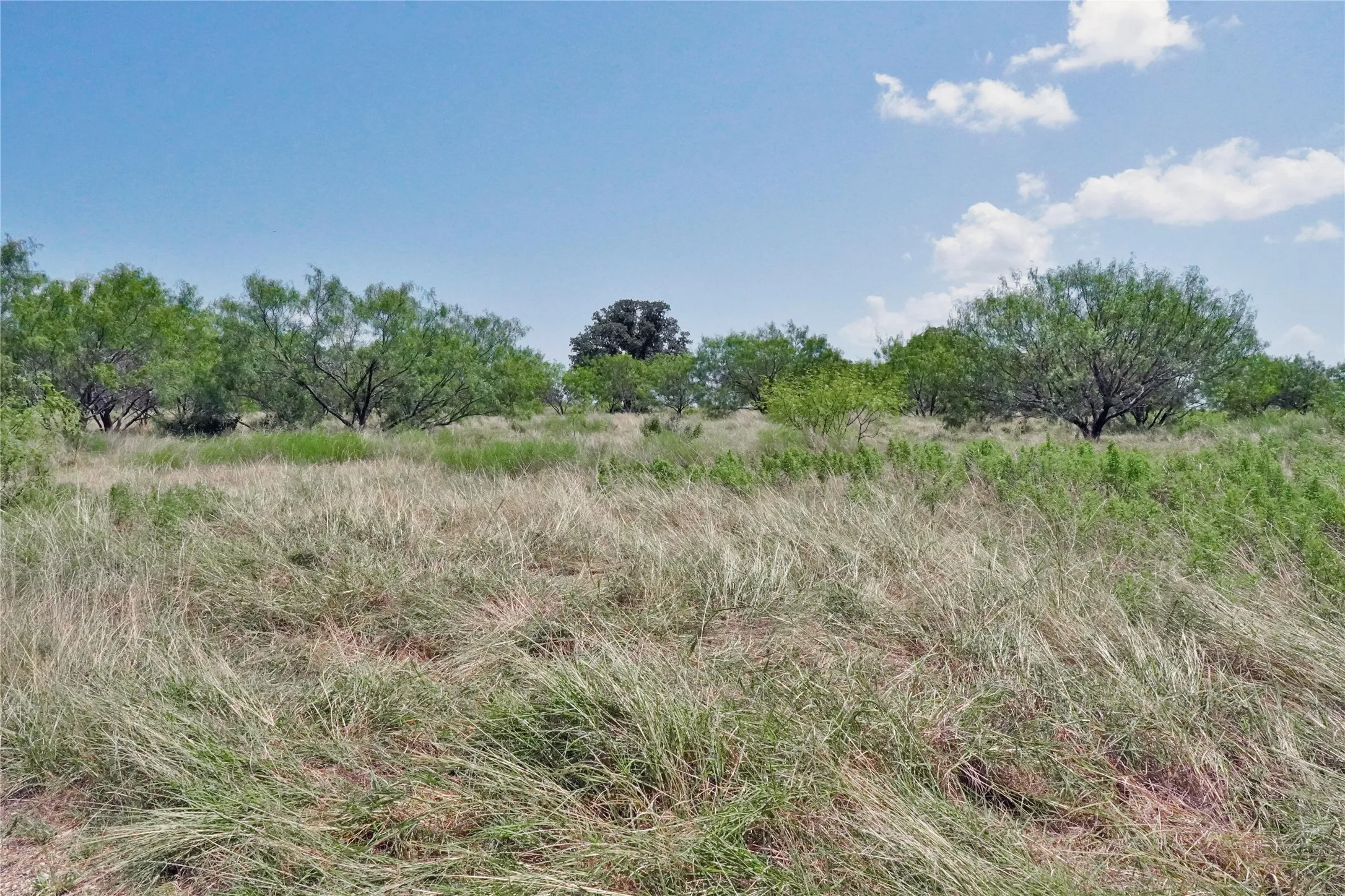 Ranch For Sale in Jack County , 71.63 Acres Slusher Rd, Jacksboro, Texas 76458, 0, 0, Garage spaces, 0 Sqft, built in 0, Price $565,000, mls#21339679, Real Estate Agent in Jacksboro, Homes For Sale in Jack county, Homes For Sale in Jacksboro, Realtor in Jacksboro Texas, Real Estate Brokerage Independent Realty Texas, Luminita Cordes Realtor