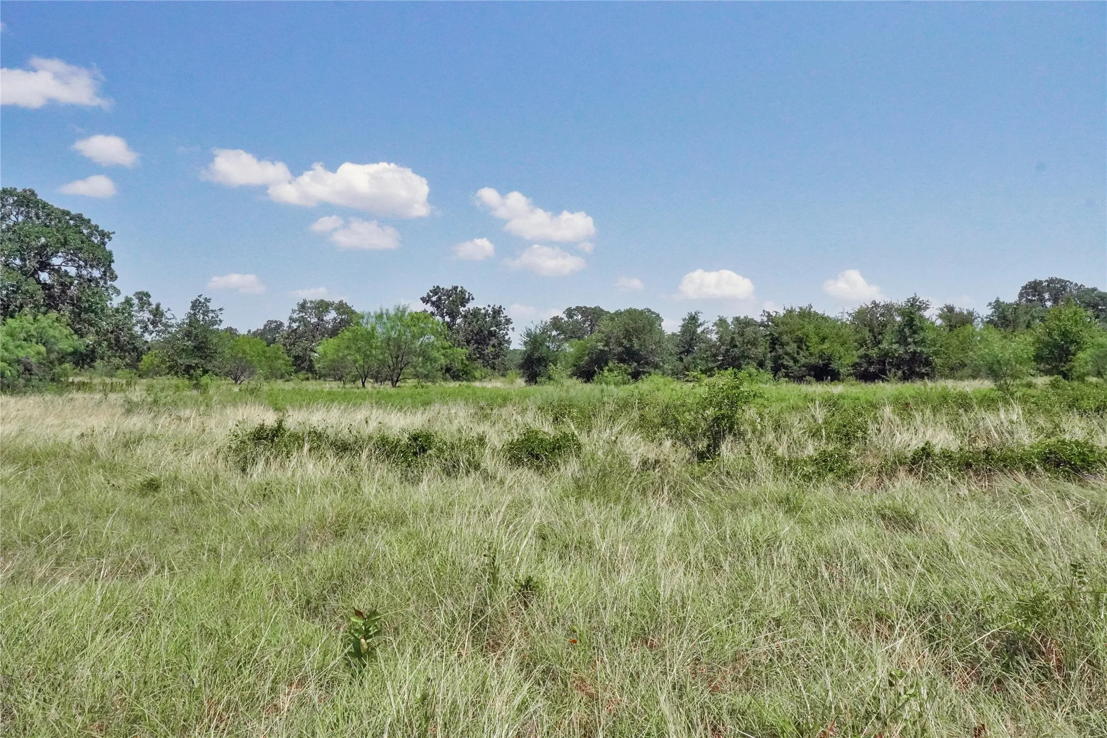 Ranch For Sale in Jack County , 71.63 Acres Slusher Rd, Jacksboro, Texas 76458, 0, 0, Garage spaces, 0 Sqft, built in 0, Price $565,000, mls#21339679, Real Estate Agent in Jacksboro, Homes For Sale in Jack county, Homes For Sale in Jacksboro, Realtor in Jacksboro Texas, Real Estate Brokerage Independent Realty Texas, Luminita Cordes Realtor