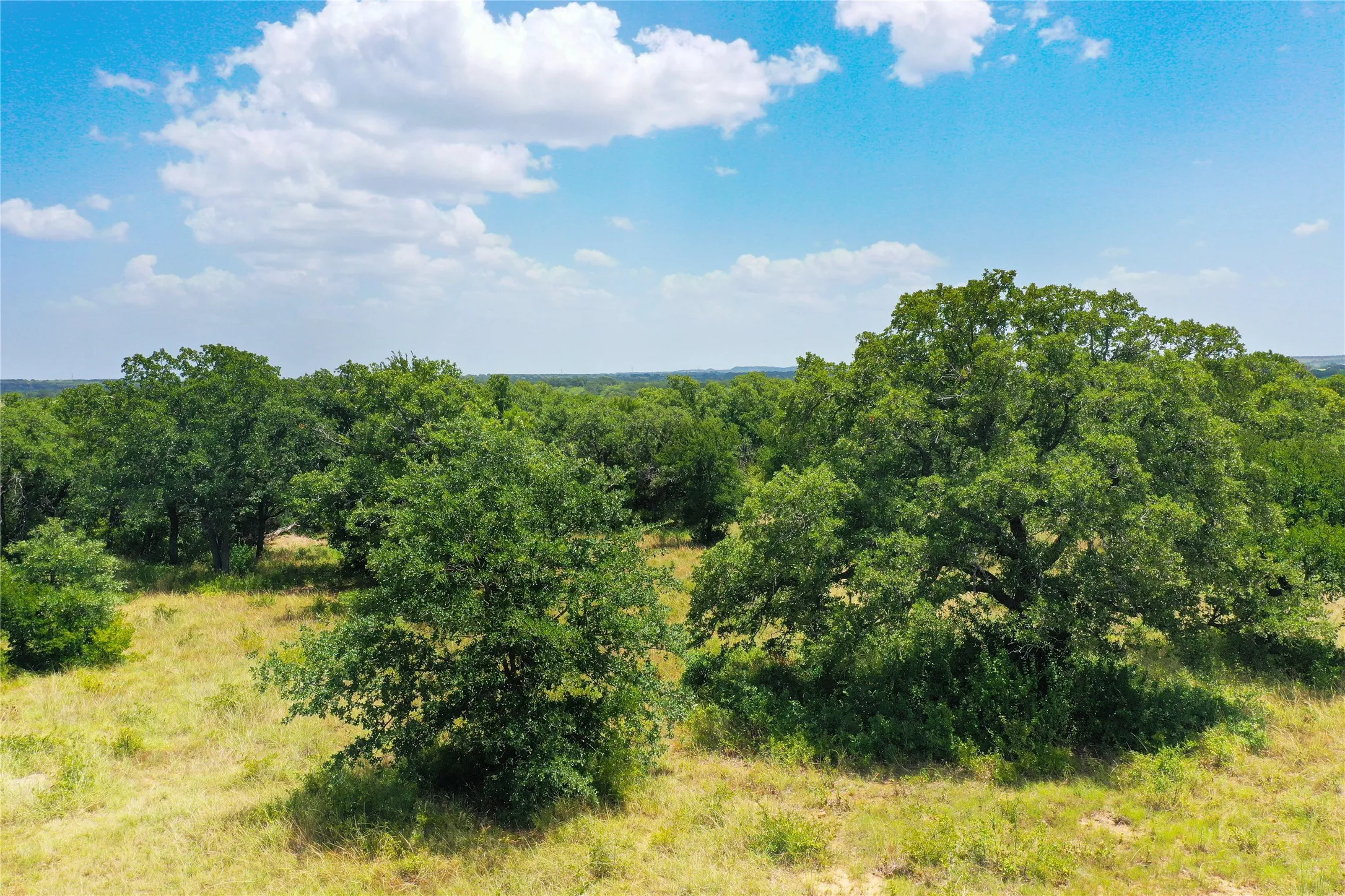 Ranch For Sale in Jack County , 71.63 Acres Slusher Rd, Jacksboro, Texas 76458, 0, 0, Garage spaces, 0 Sqft, built in 0, Price $565,000, mls#21339679, Real Estate Agent in Jacksboro, Homes For Sale in Jack county, Homes For Sale in Jacksboro, Realtor in Jacksboro Texas, Real Estate Brokerage Independent Realty Texas, Luminita Cordes Realtor