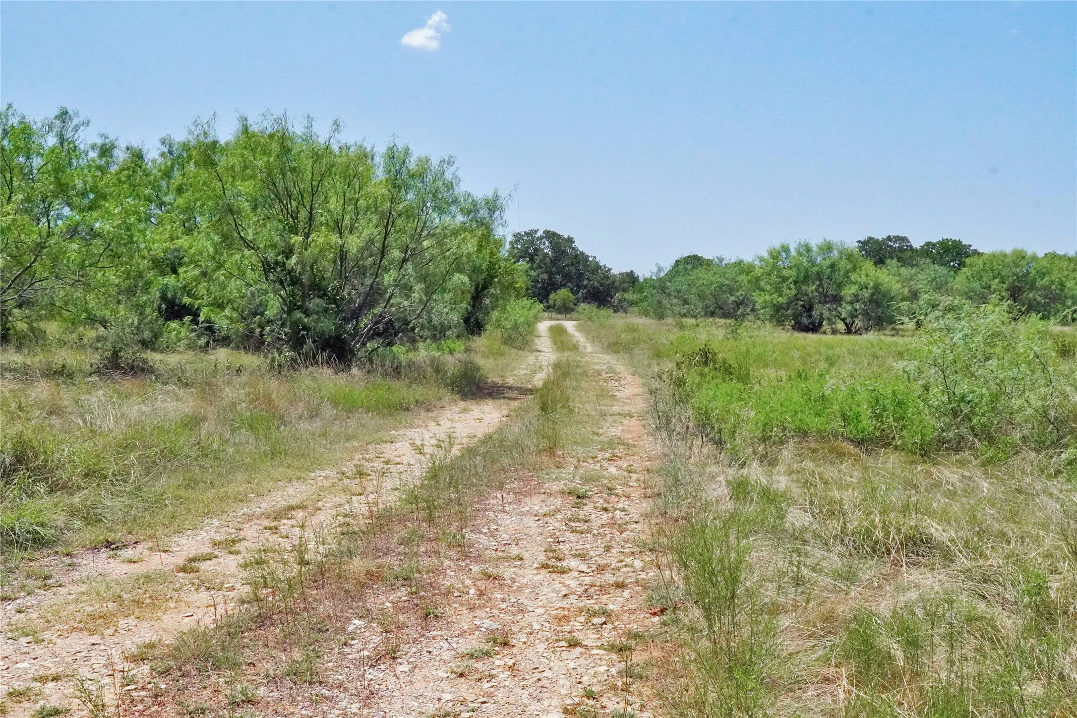 Ranch For Sale in Jack County , 71.63 Acres Slusher Rd, Jacksboro, Texas 76458, 0, 0, Garage spaces, 0 Sqft, built in 0, Price $565,000, mls#21339679, Real Estate Agent in Jacksboro, Homes For Sale in Jack county, Homes For Sale in Jacksboro, Realtor in Jacksboro Texas, Real Estate Brokerage Independent Realty Texas, Luminita Cordes Realtor
