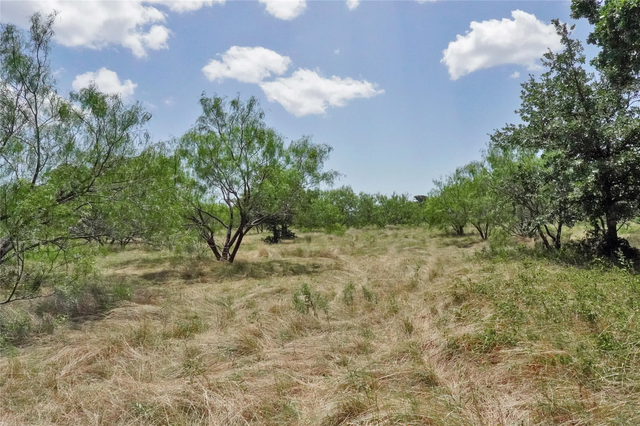 Ranch For Sale in Jack County , 71.63 Acres Slusher Rd, Jacksboro, Texas 76458, 0, 0, Garage spaces, 0 Sqft, built in 0, Price $565,000, mls#21339679, Real Estate Agent in Jacksboro, Homes For Sale in Jack county, Homes For Sale in Jacksboro, Realtor in Jacksboro Texas, Real Estate Brokerage Independent Realty Texas, Luminita Cordes Realtor